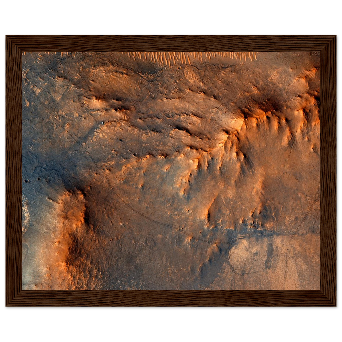 1697218d-7226-494f-a1e2-258486c2965e