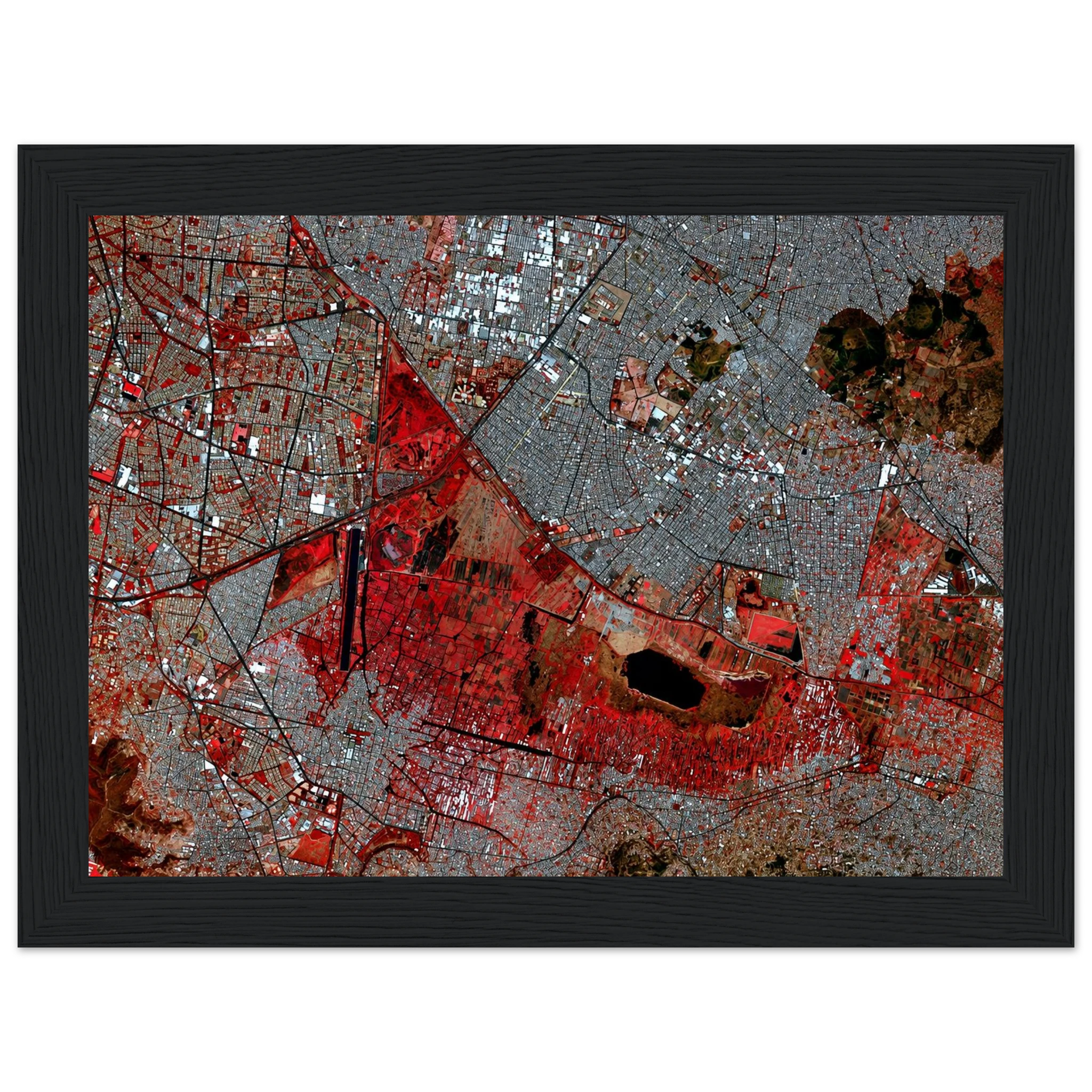 172c3c33-c54a-4388-b5ce-c52d9db53e46