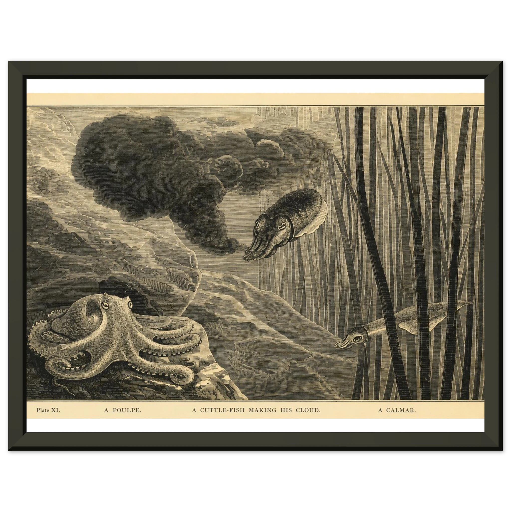1768c873-4b4f-4512-81cc-f45bf6421d07