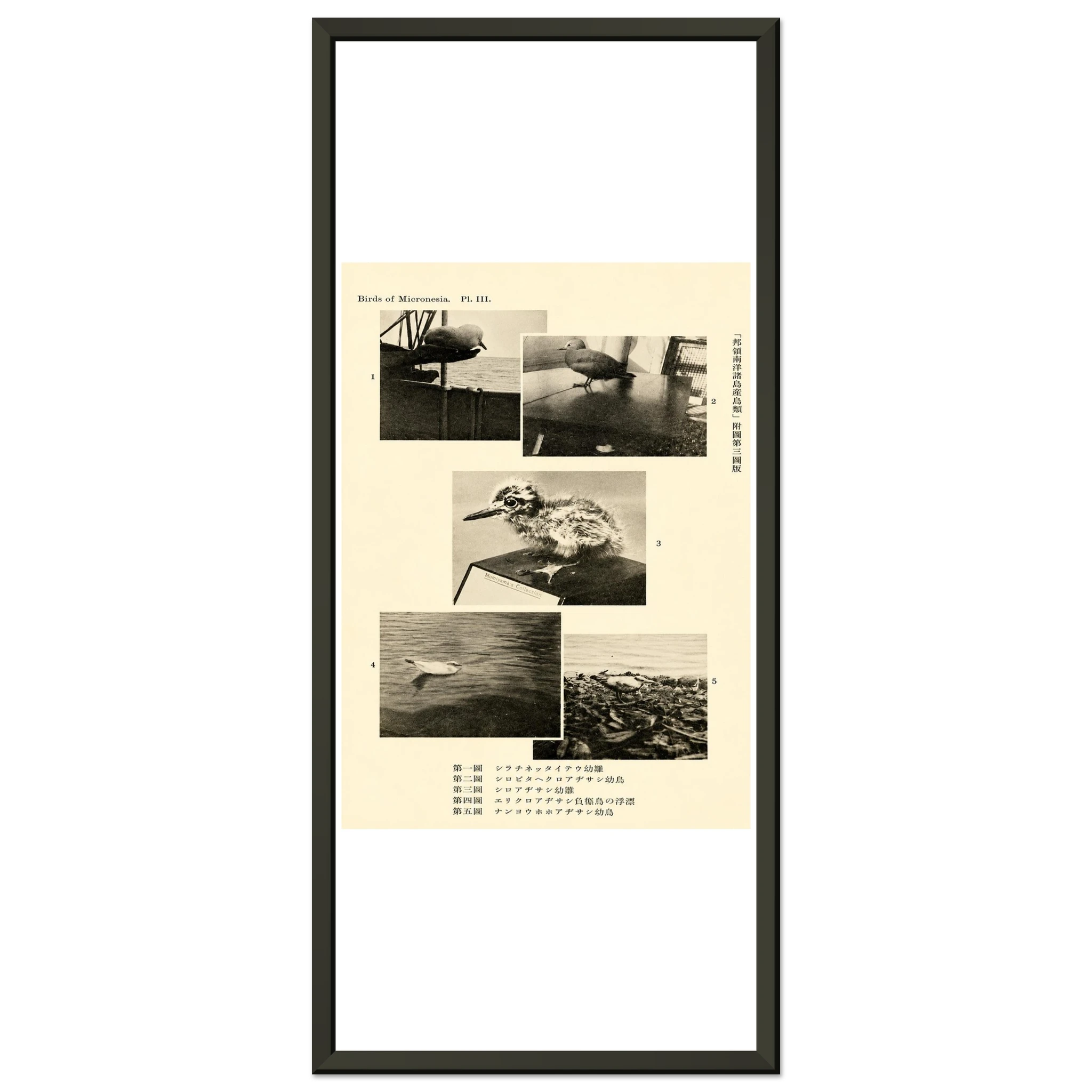 1796ab7d-4764-4de5-9f85-4af21b729cda
