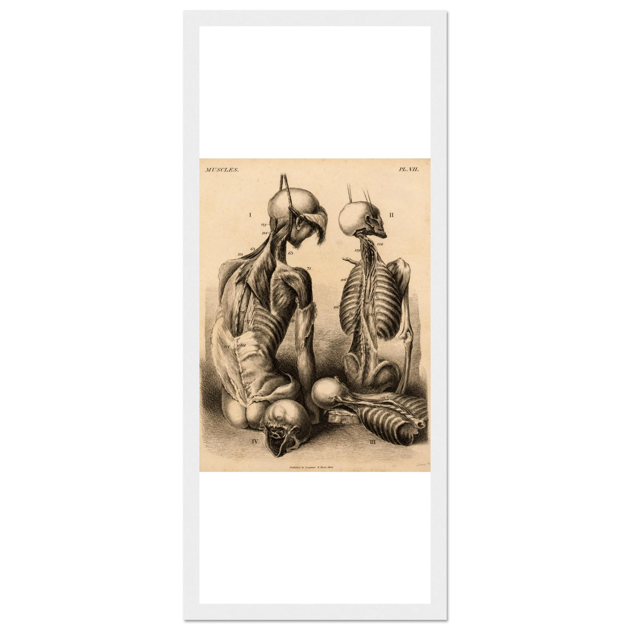 1798ab2f-2062-4d20-9f74-e5b0e7bb338c