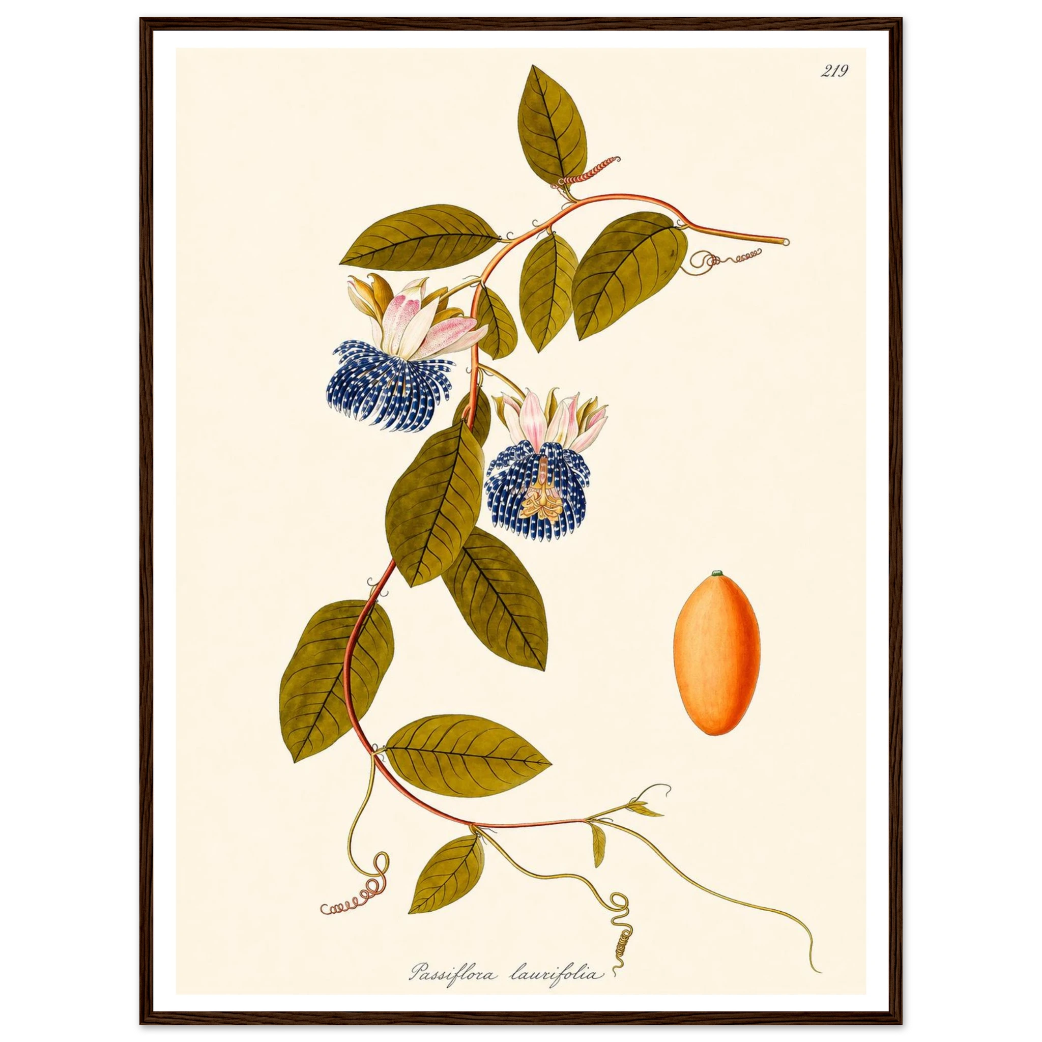 186c04cf-3f99-4539-9cbe-6c37c583abb6