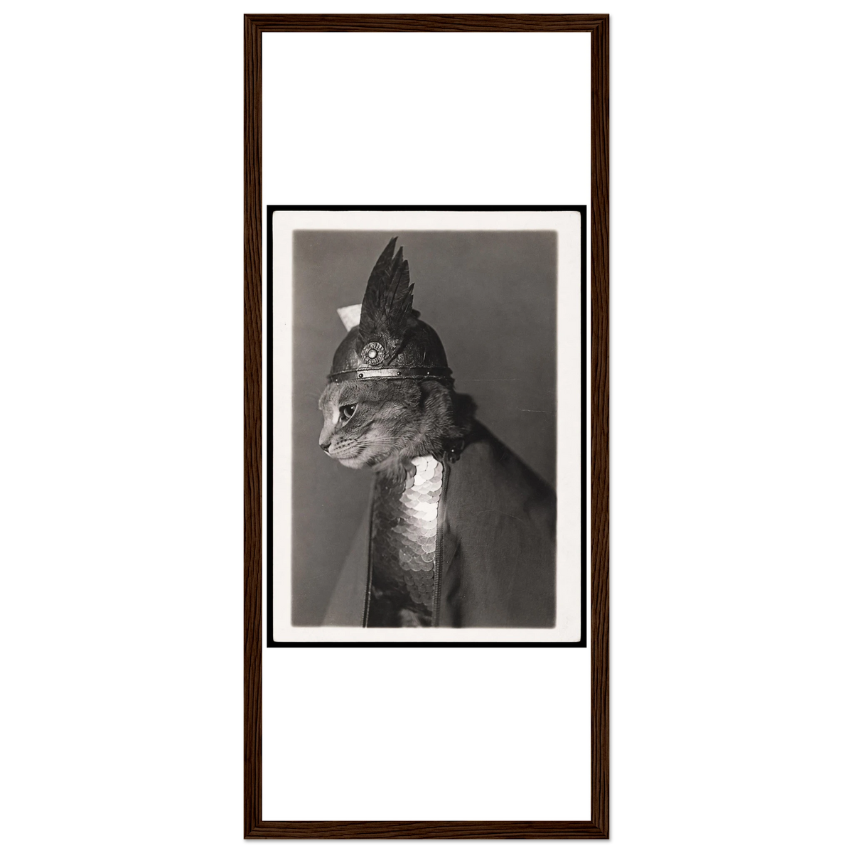18752f9e-d8fc-4355-b0b7-a1c3adf59a42