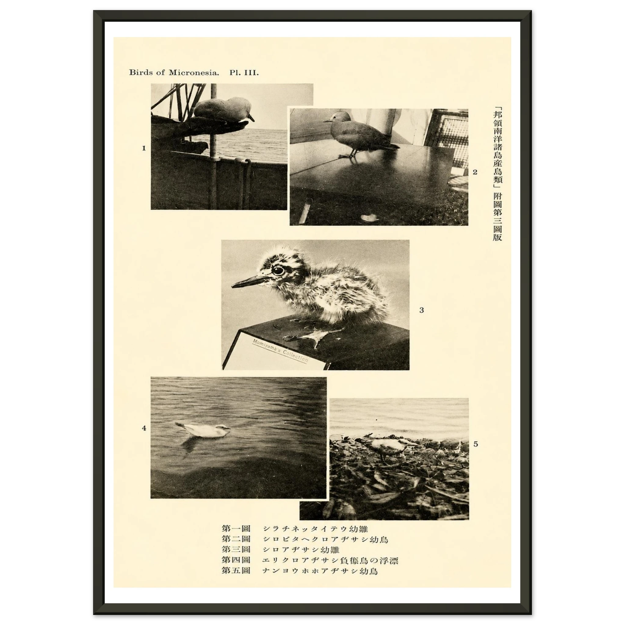 1895f24a-6d09-44c2-9861-cd28c4a1ac41