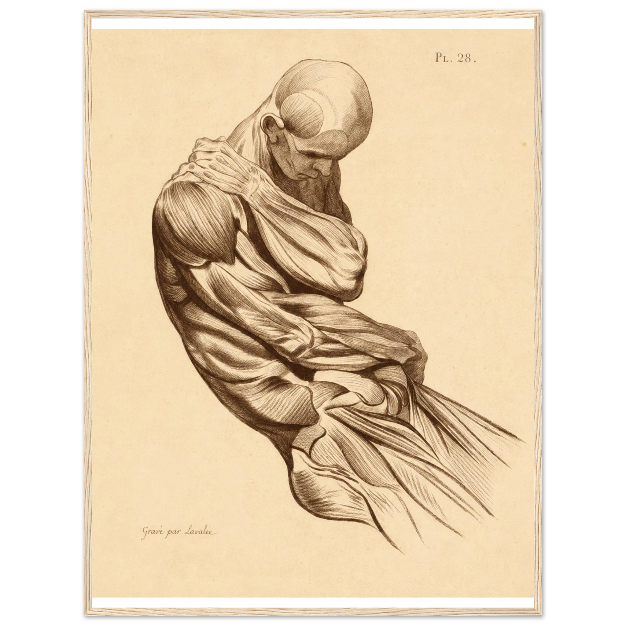 1965f3e6-fa00-4e64-9e92-4b12438e88a6