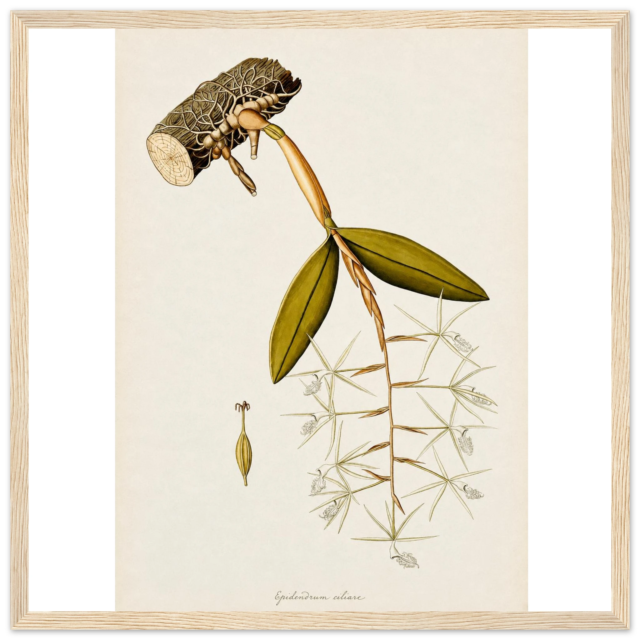 19748b76-1389-465a-8354-63847f5bfd06