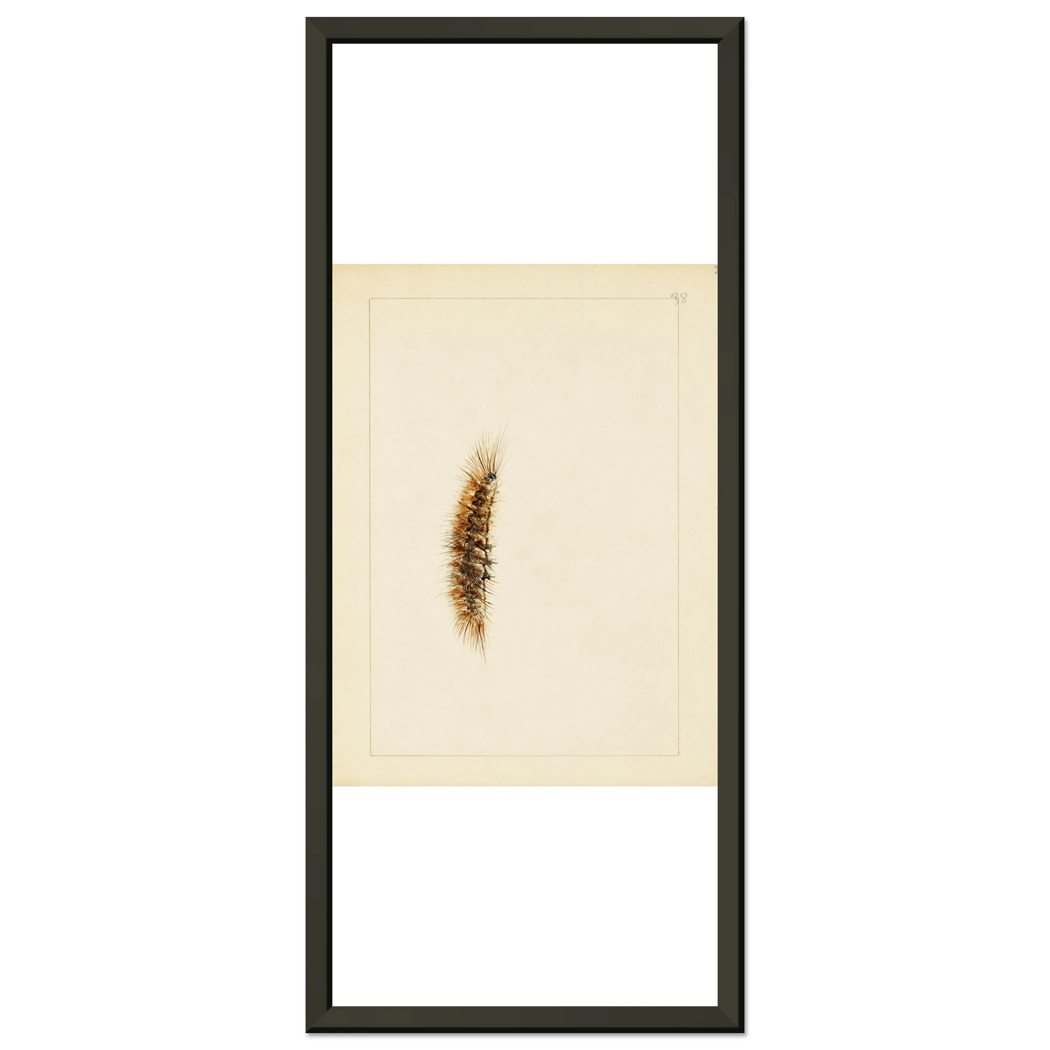 1ac4b46f-9211-43d6-be63-d2c02037b080