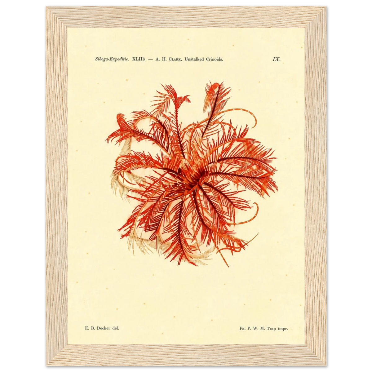 1b0e3d6f-54dc-47f6-a298-d75219f79db9