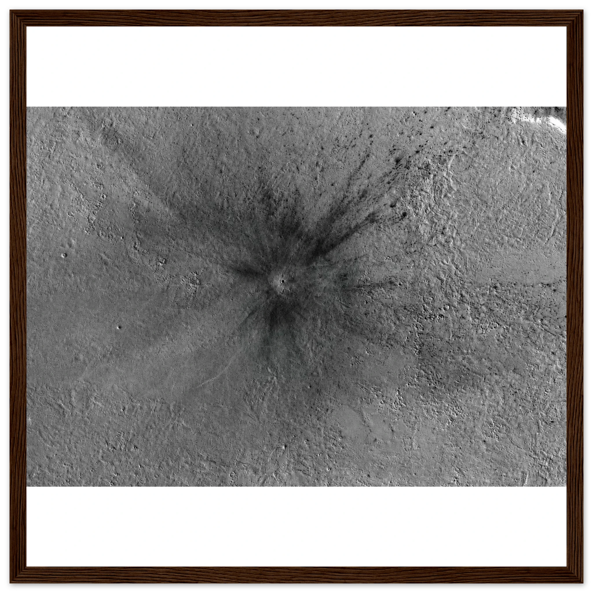 1b4e86c4-1371-454d-a4c5-435db061458b