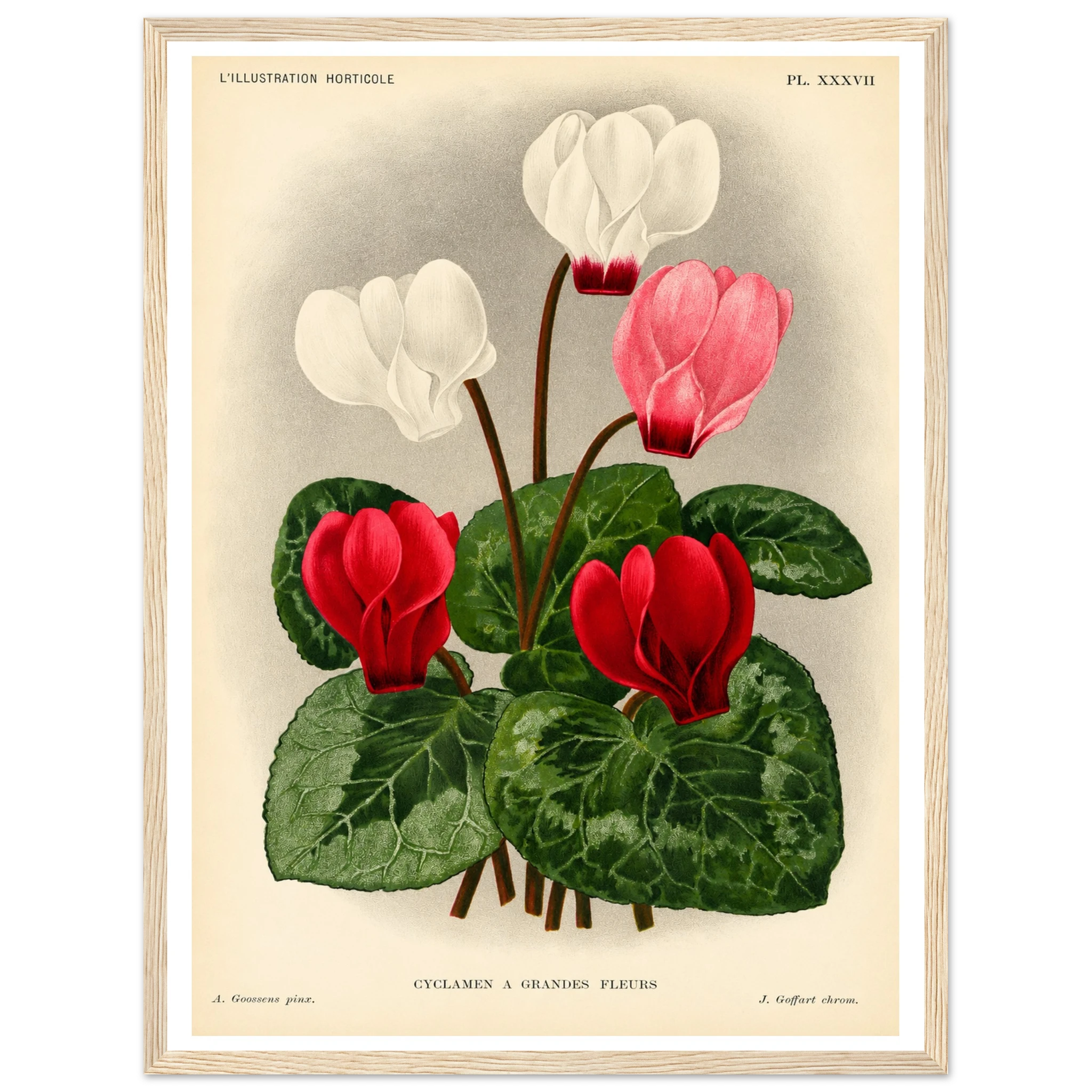 1bcf0854-a088-4c40-8ff3-d267fce20e11
