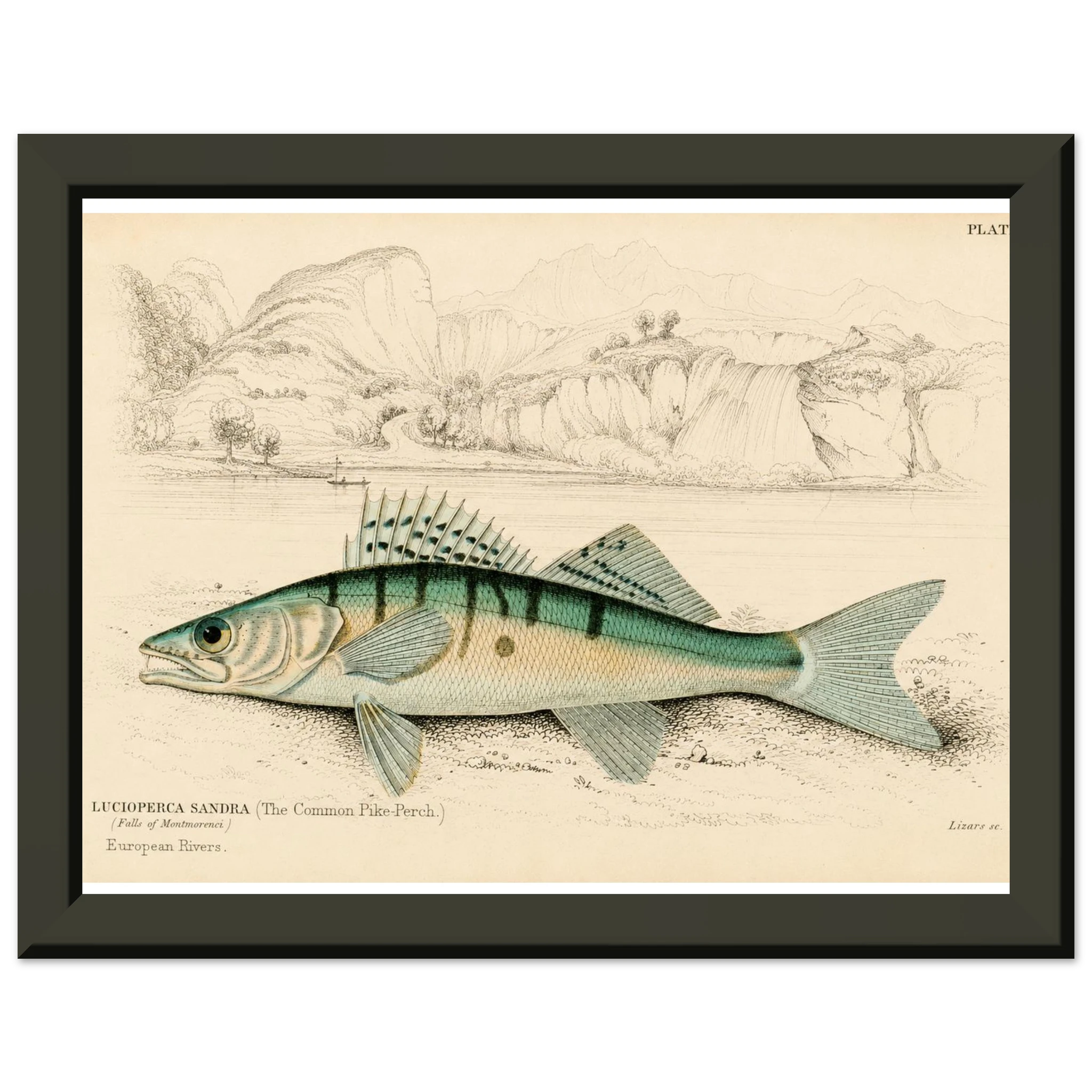1c18b431-fd65-4f1a-bb58-28047a01ec04