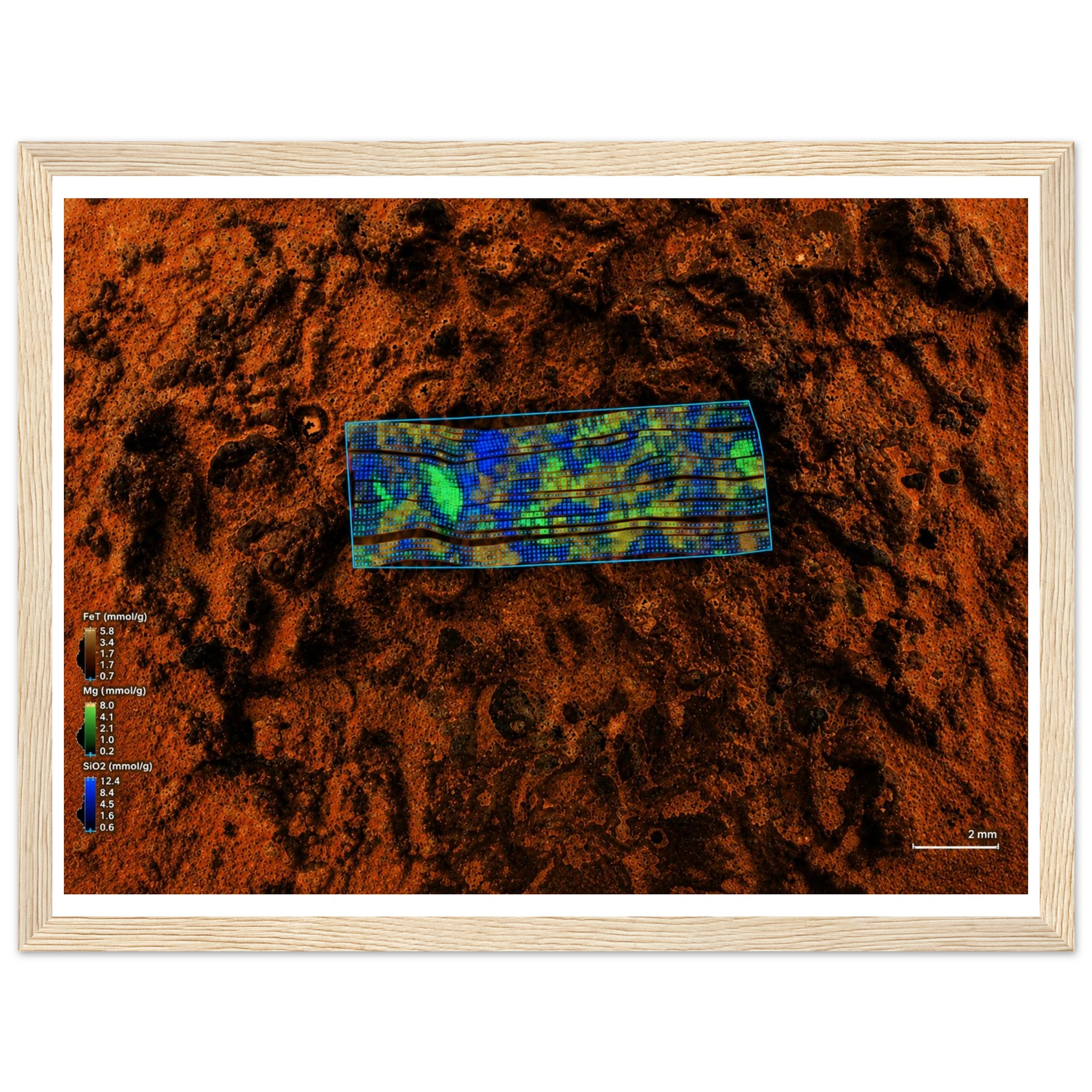 1c765c8e-6f2d-4a52-932f-0ba7e81e6643