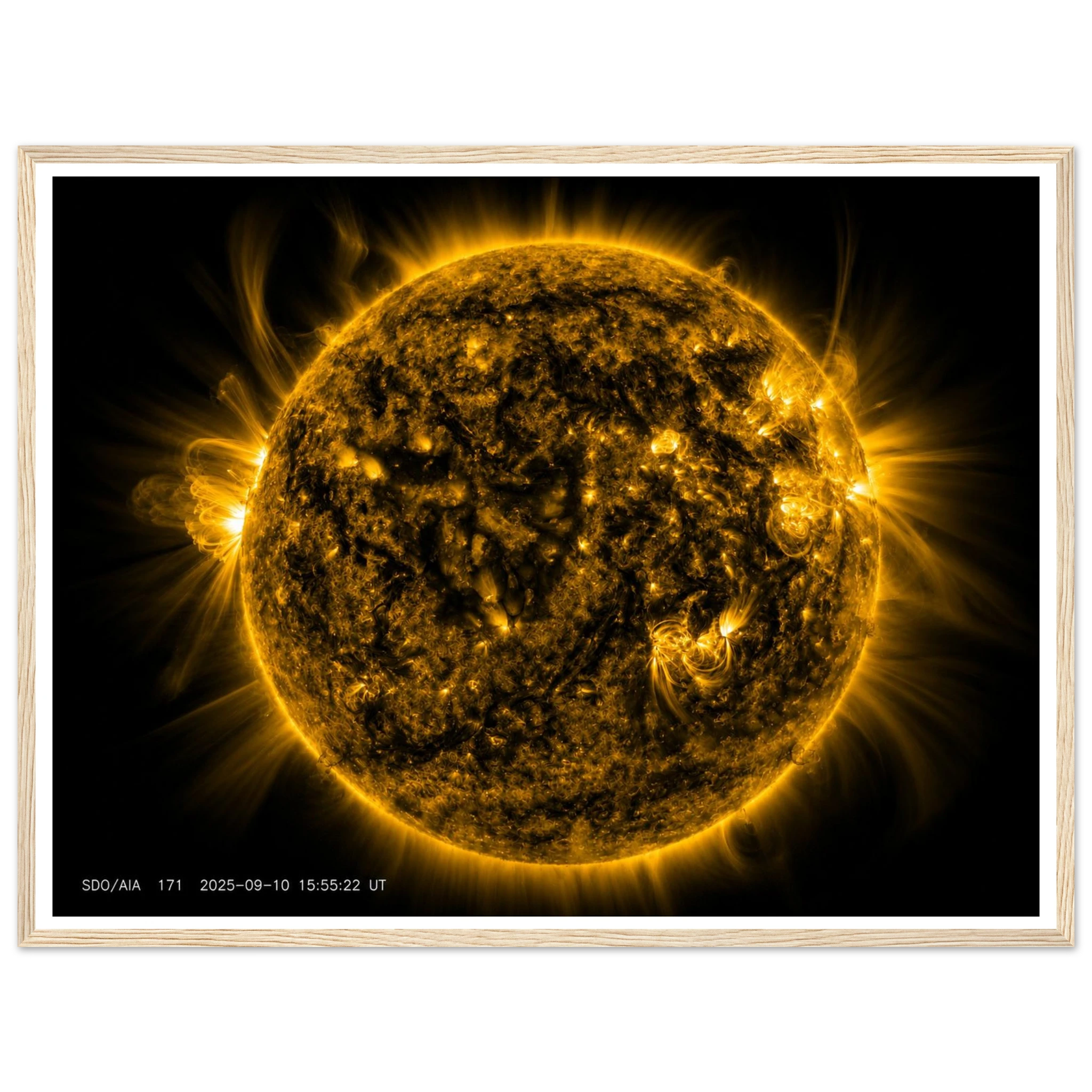 1c7a2c43-f499-4a01-9125-e855fea52e77