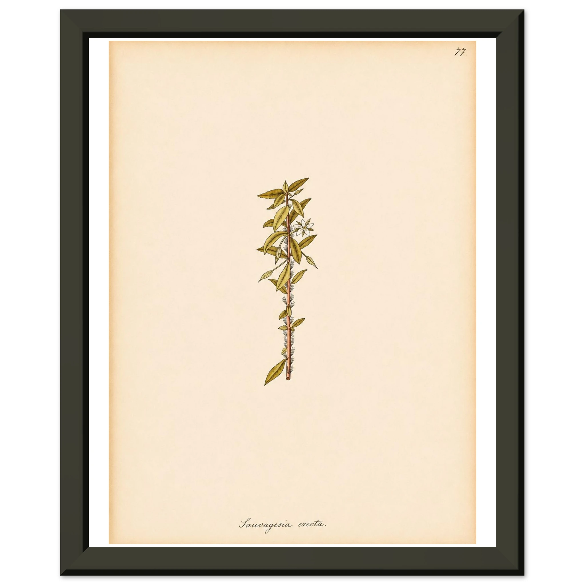 1d1e37ca-5c2a-42ff-ab20-160646c3453c