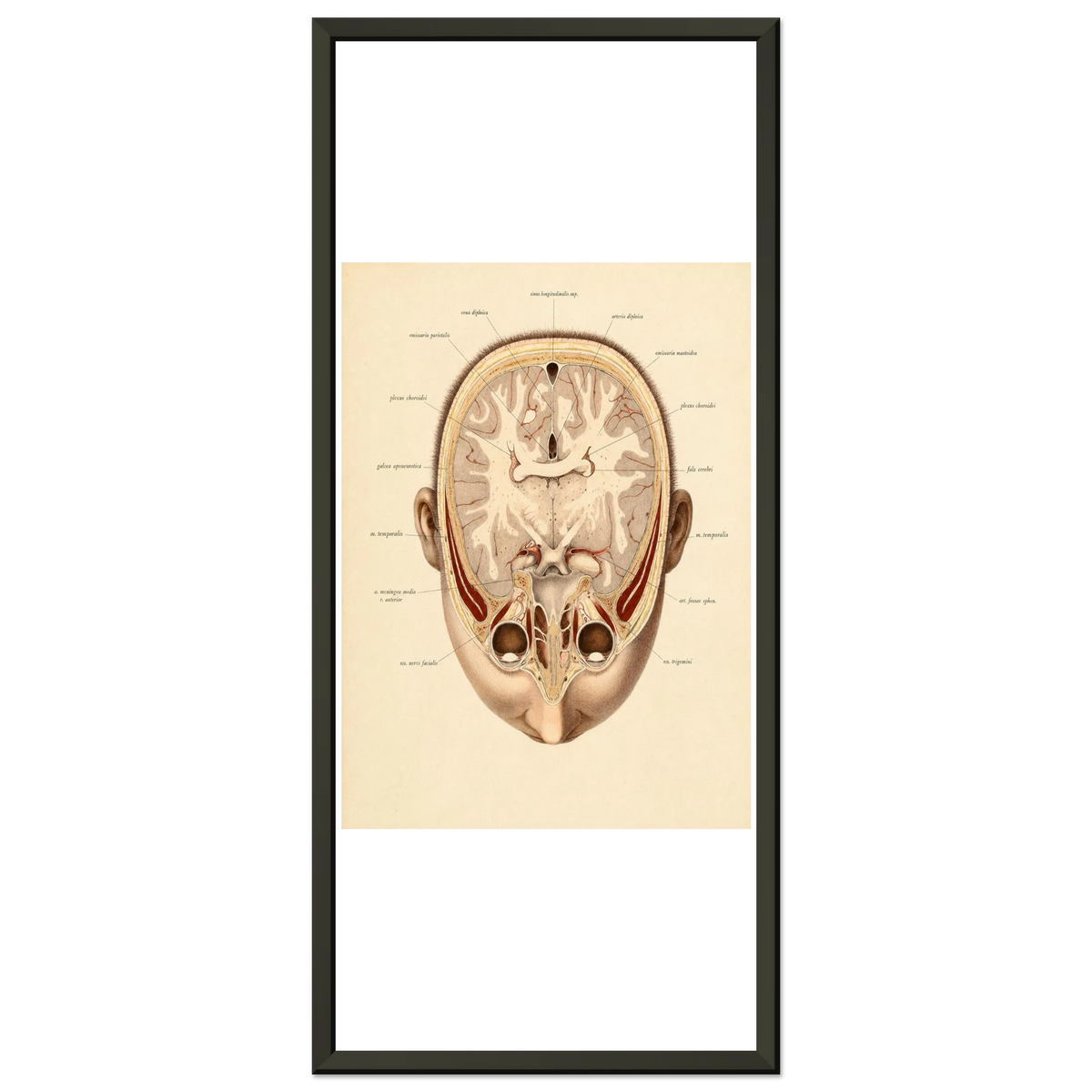 1f0a3cae-1b87-40a3-aaba-48b8375334f3