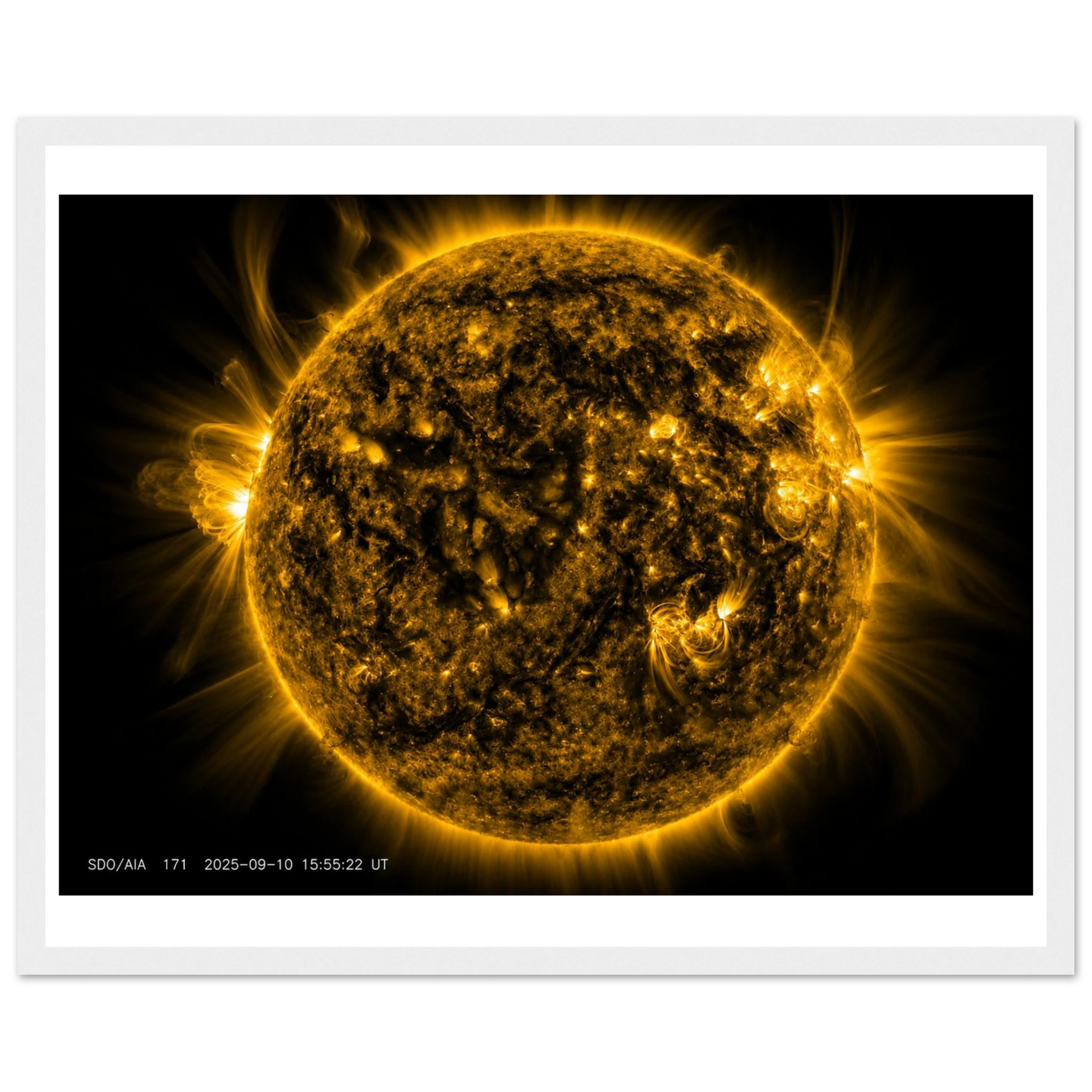 1f32c348-54b6-41e6-9436-ea3d499f476f