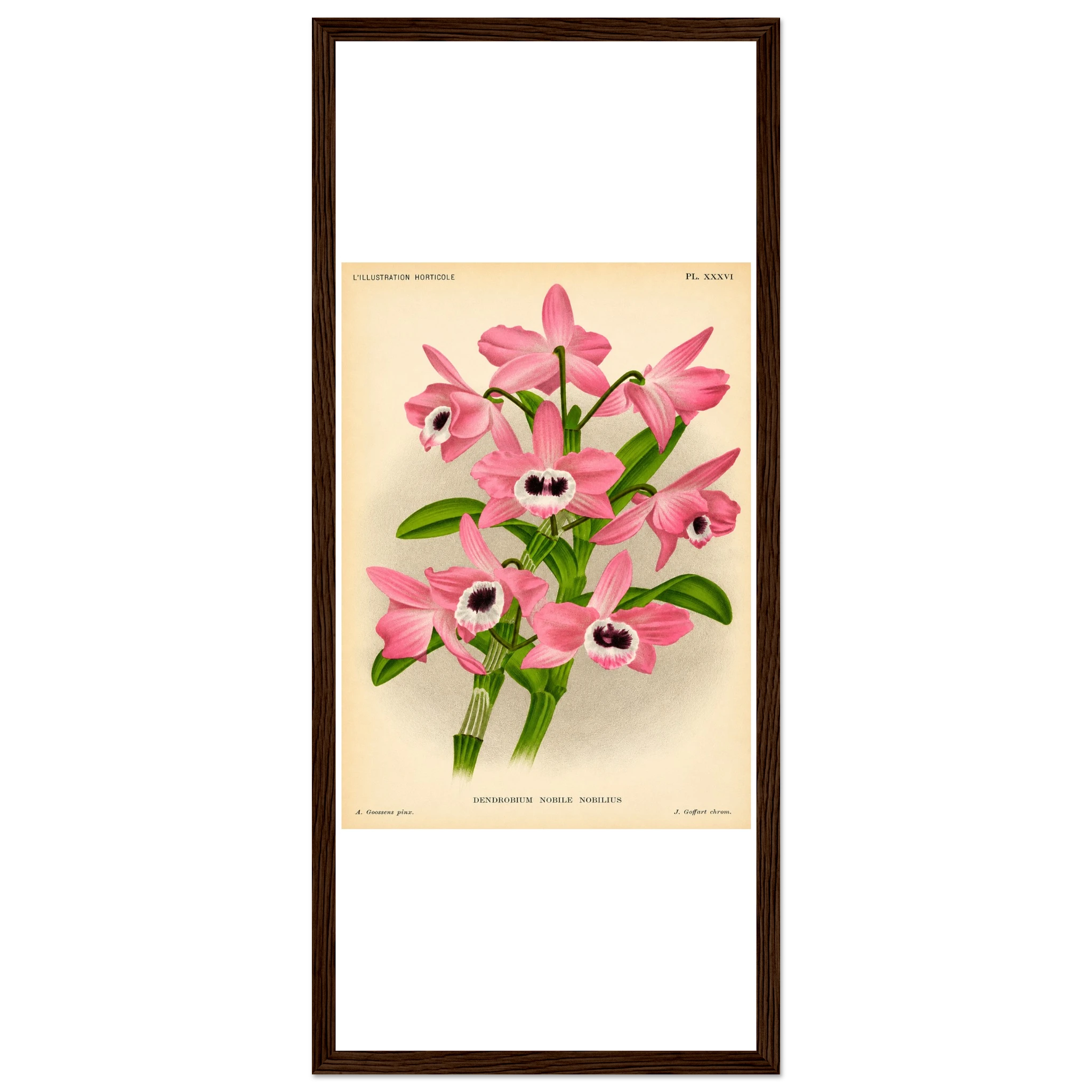1f4bee0f-4ad6-4260-905b-9740f9b1fc02