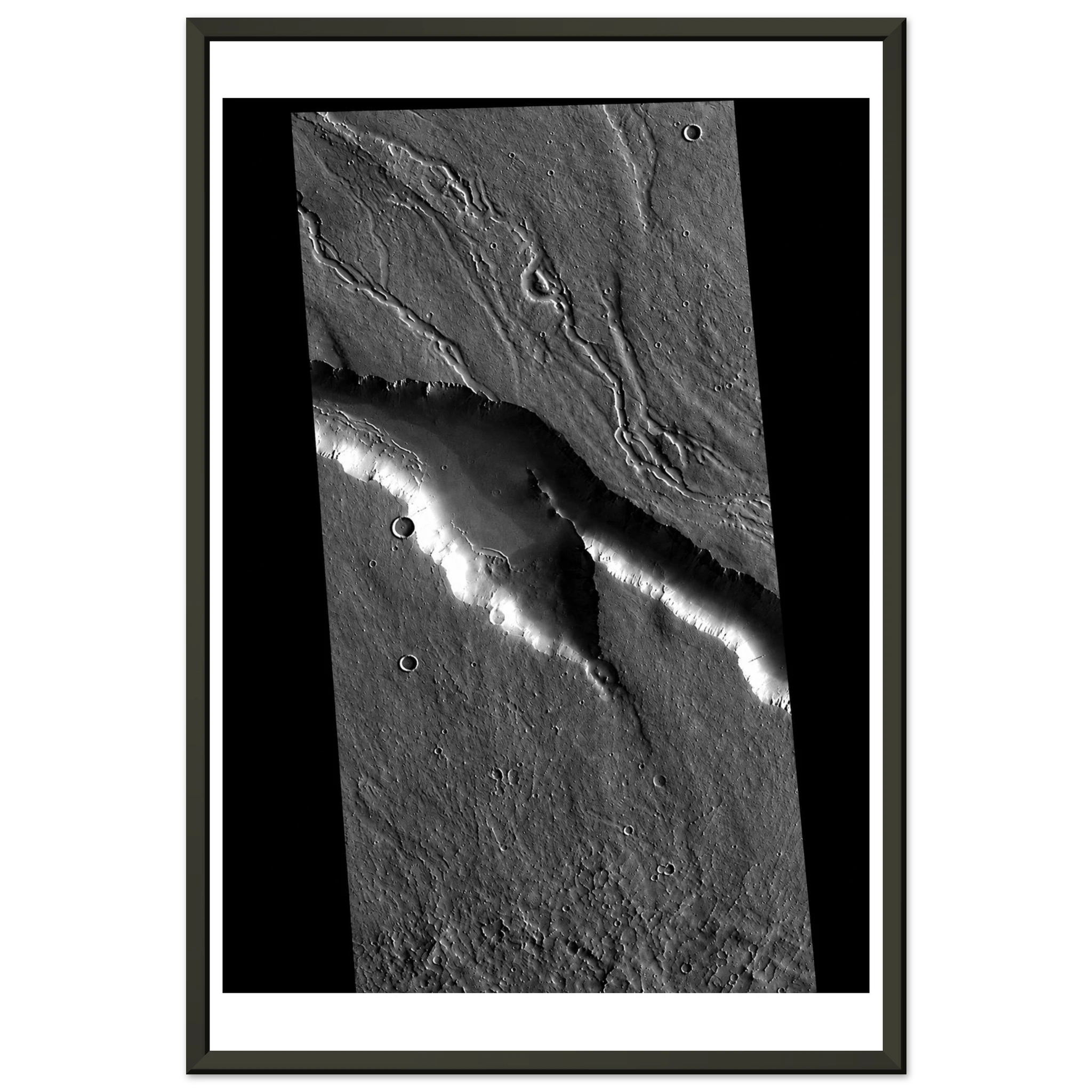 202f4983-a6da-448f-b7ae-09fcdd46801b