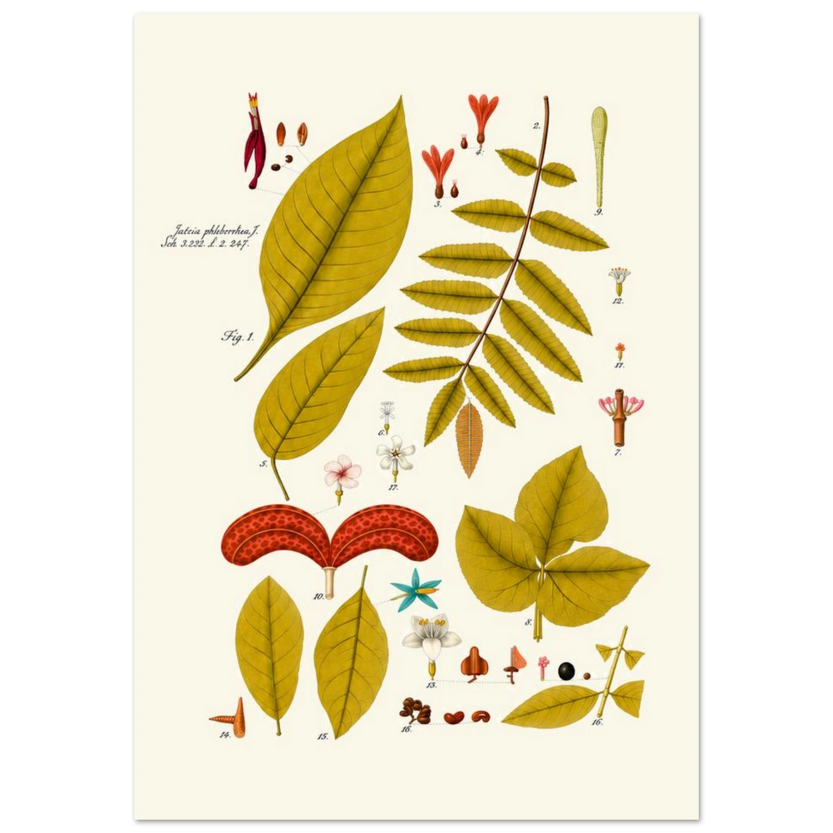 20cf1a97-7a61-41fc-8136-fd8410f41d67