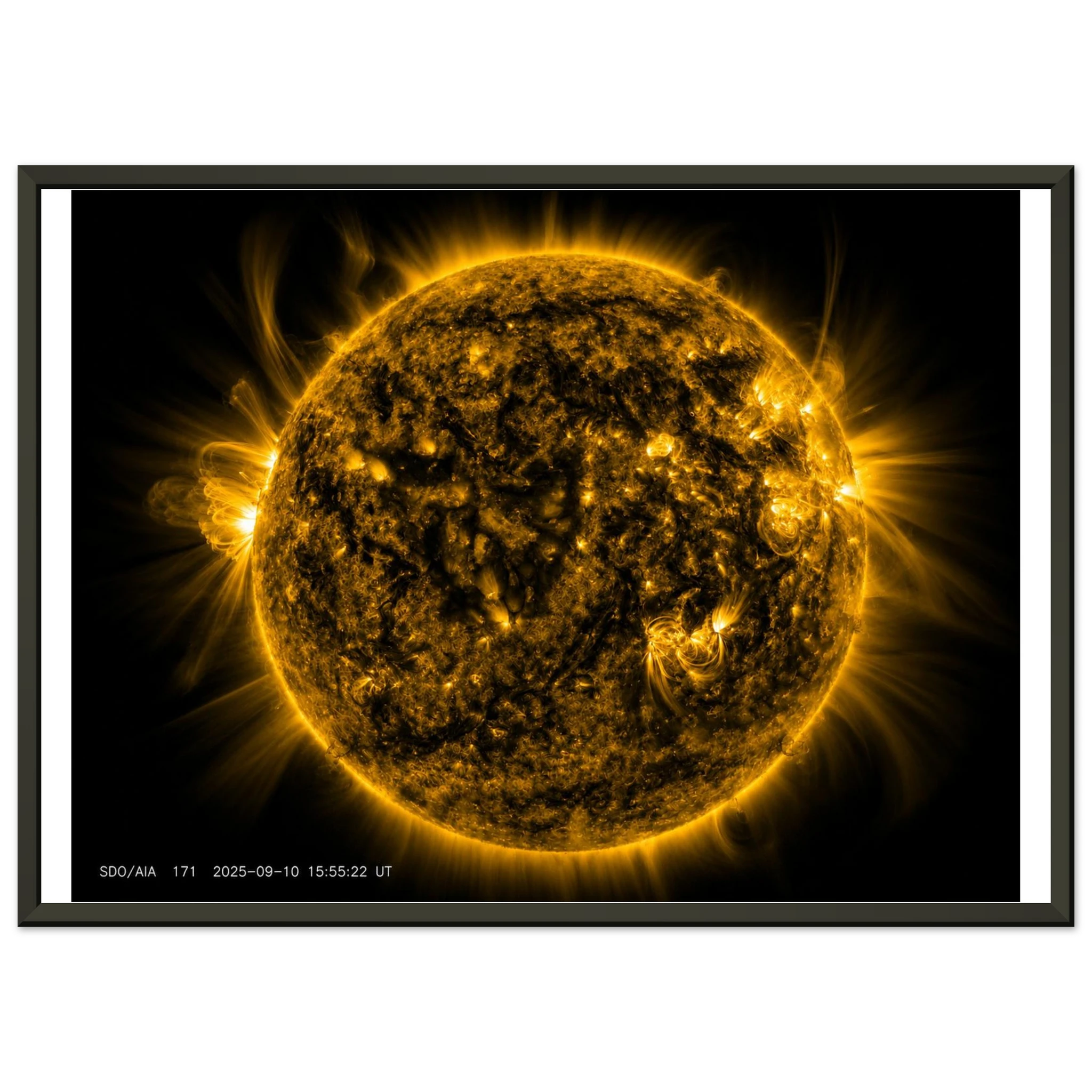 20fcc483-4436-4f07-9293-6e3e5e215c68
