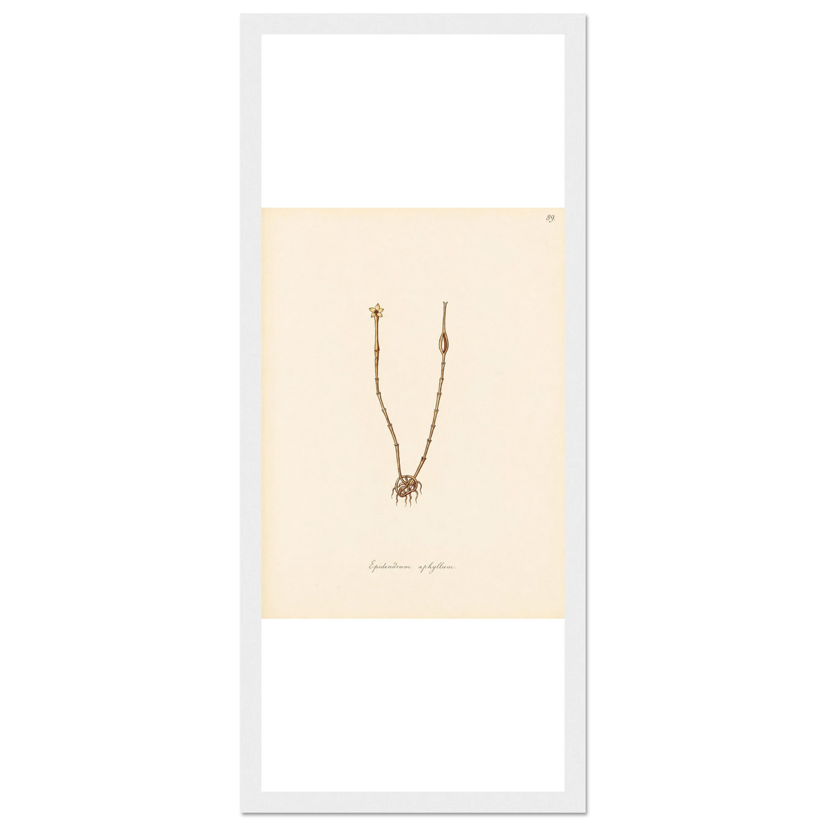 22ab2562-cbe8-4ec9-a0b1-ed6cd35fd883