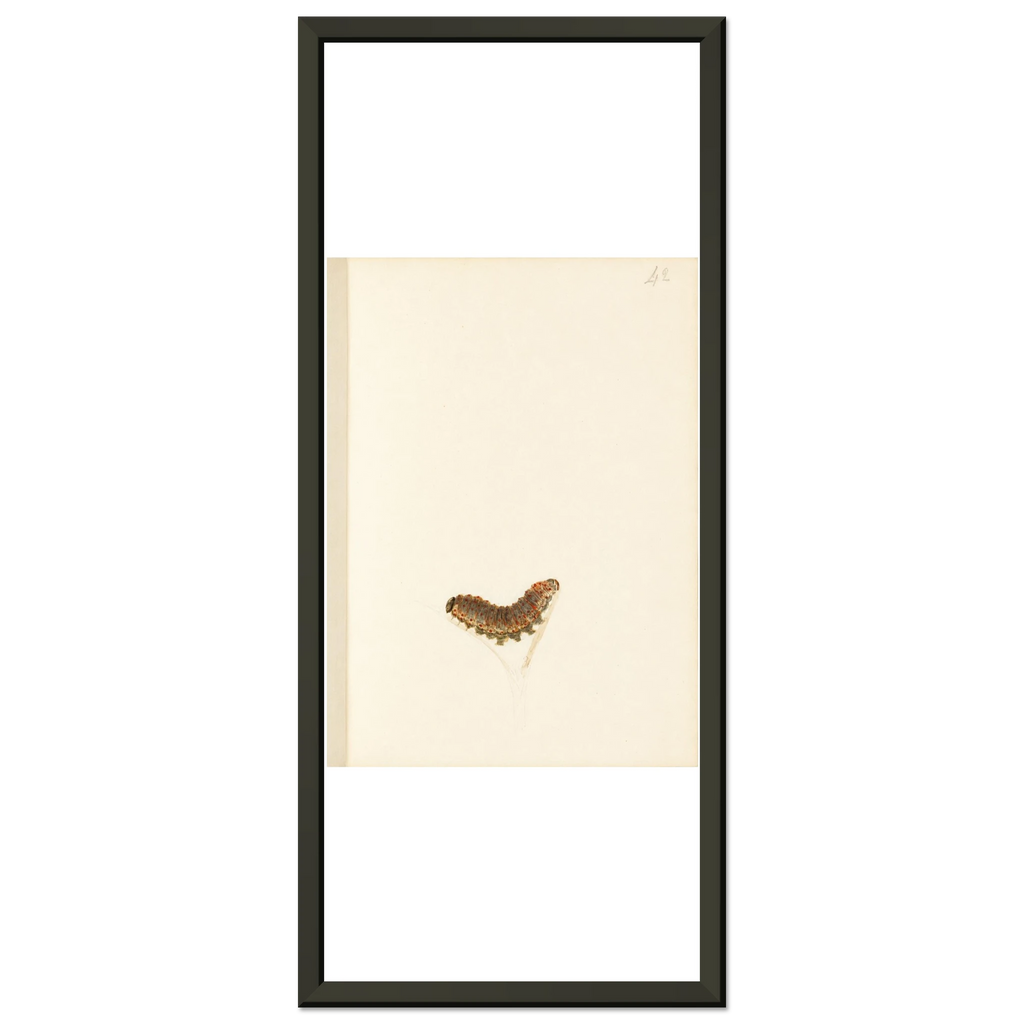 22b116af-d474-42bb-819f-b0e7638adc38
