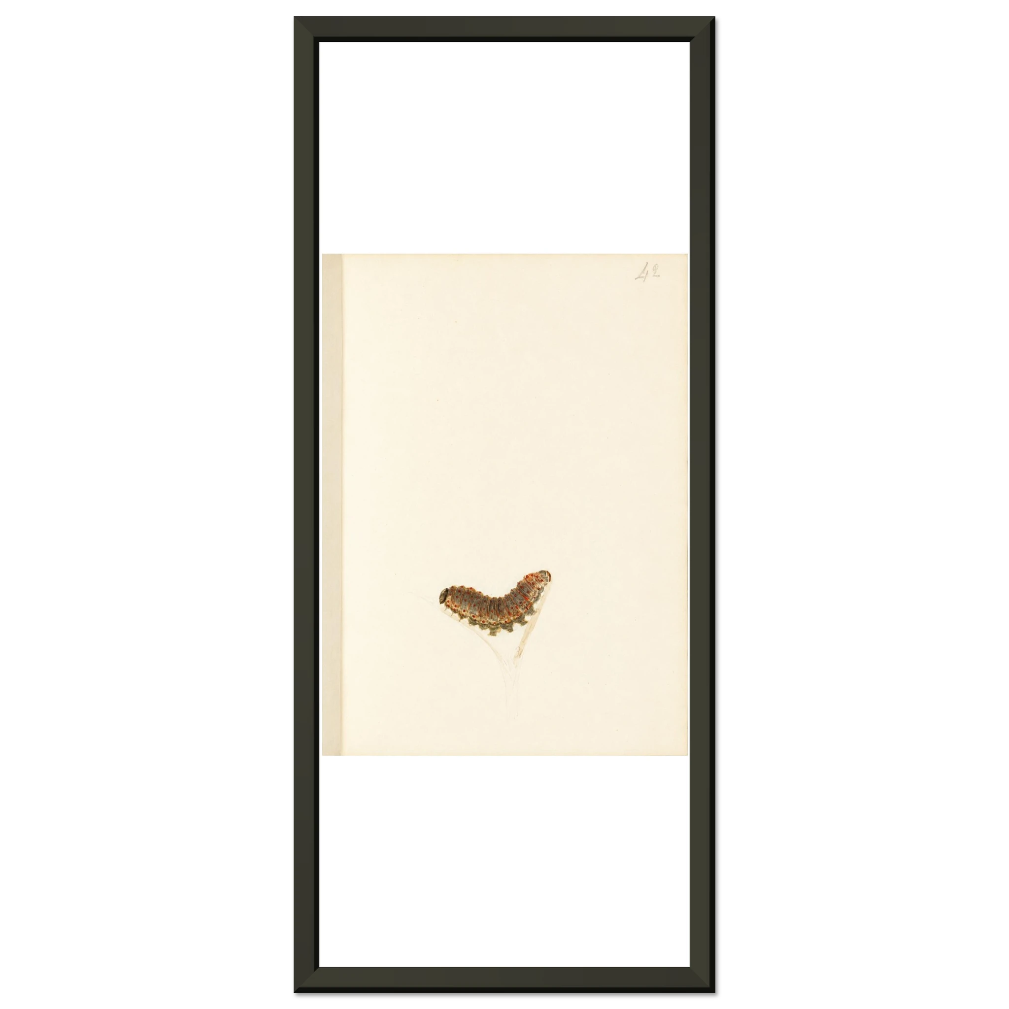 22b116af-d474-42bb-819f-b0e7638adc38