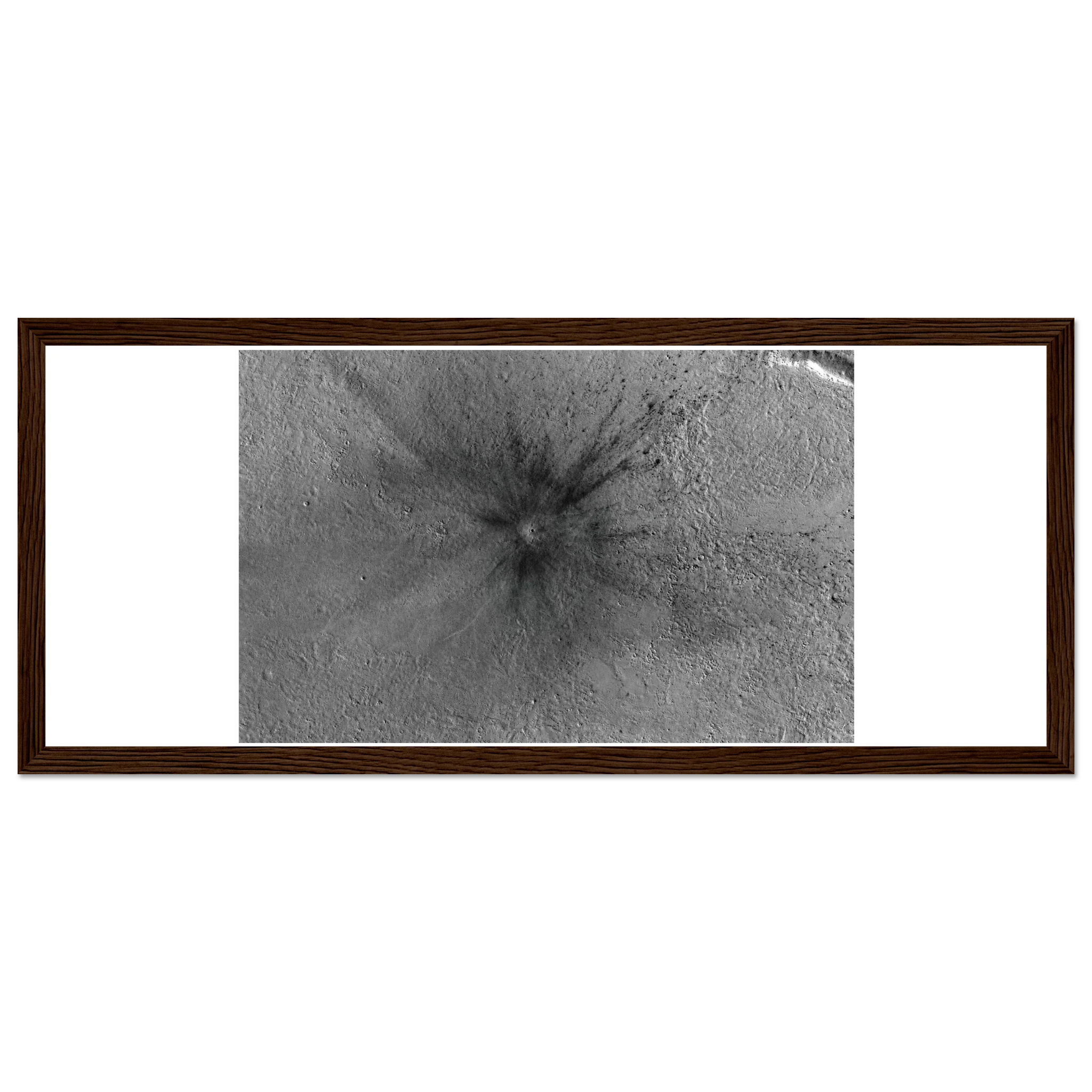 231621d2-1262-4aa3-bf64-71affa1ff8c2