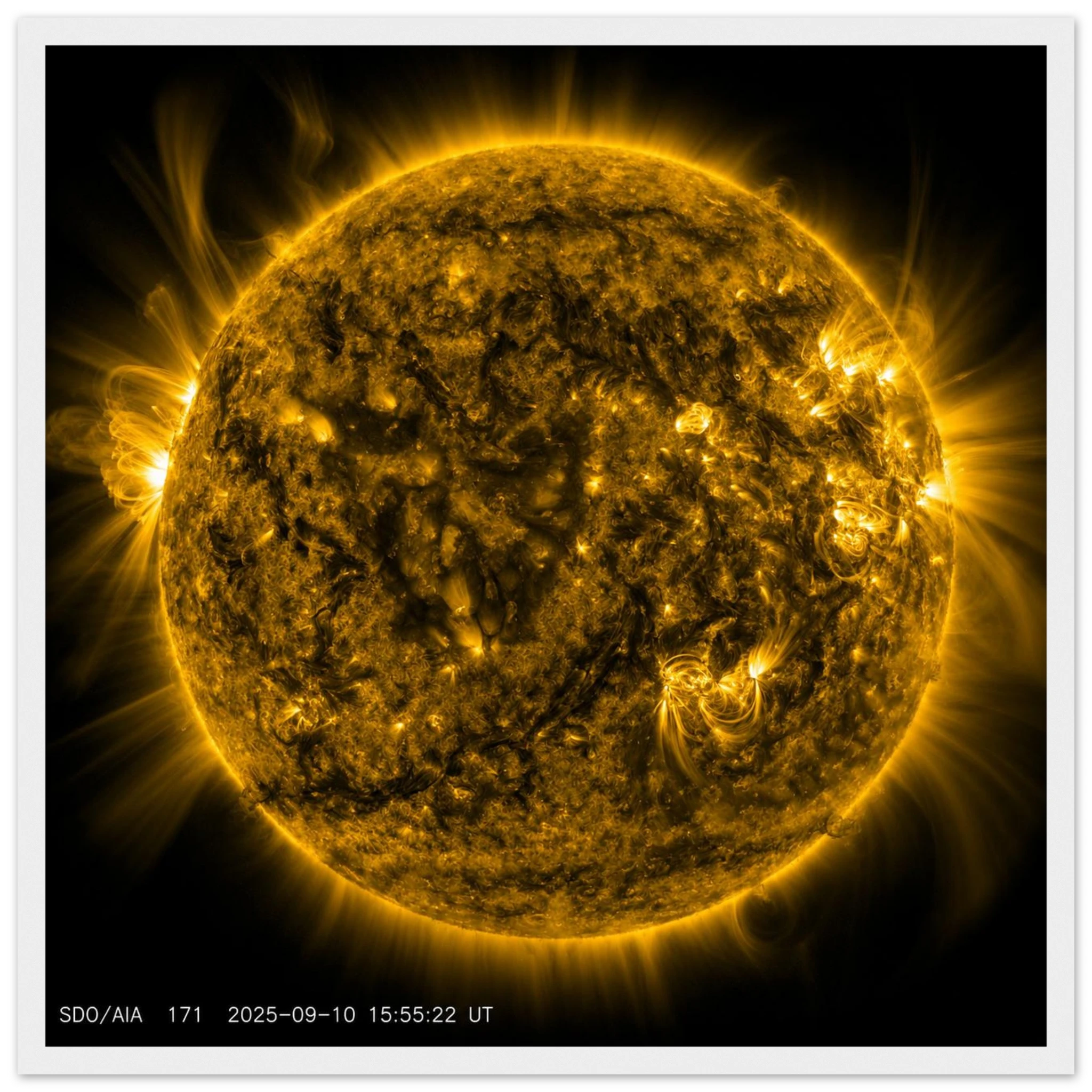 231a7ebe-d9a8-4e81-adba-ee9524edb63c