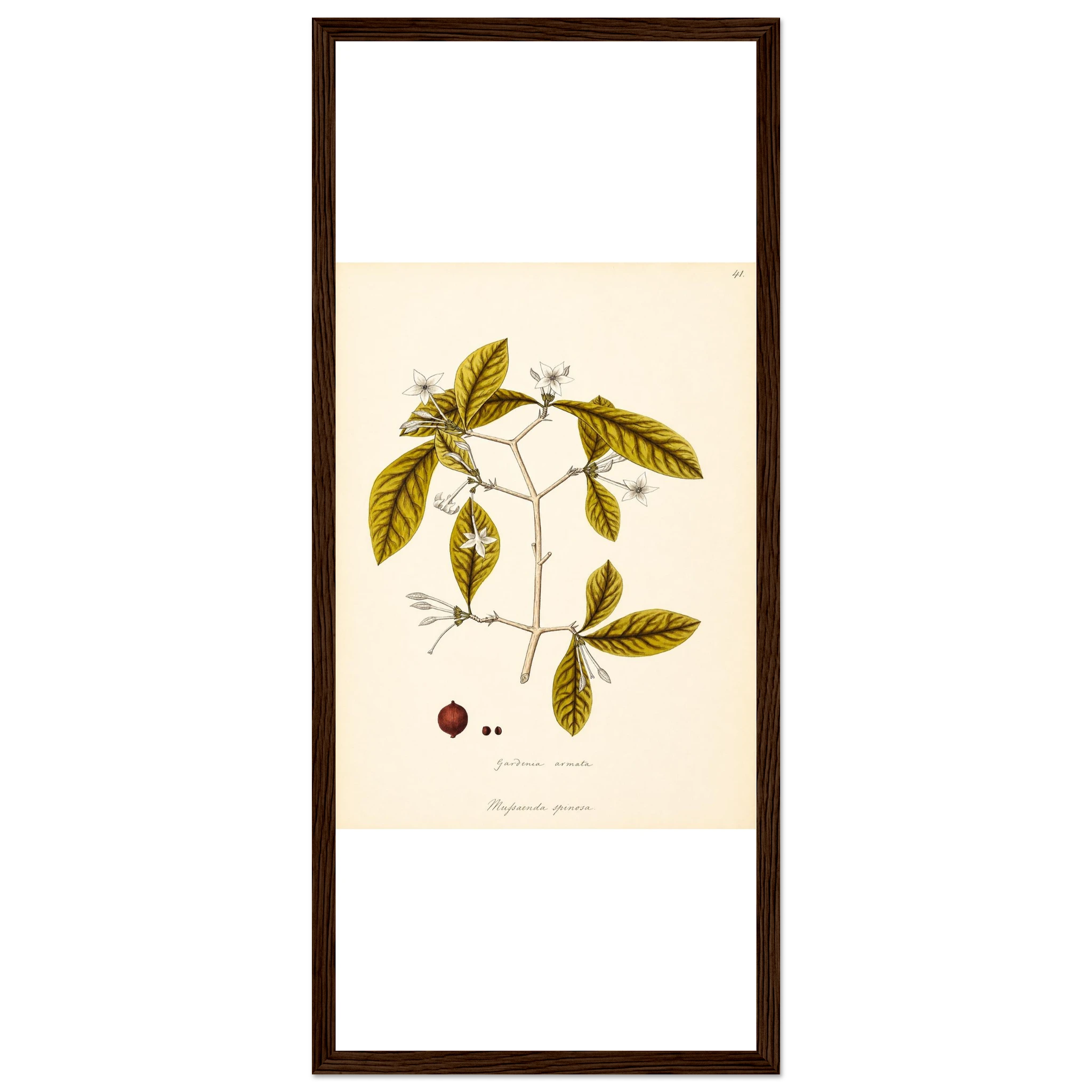 233d338c-6800-4394-a4da-be0ec4428da4