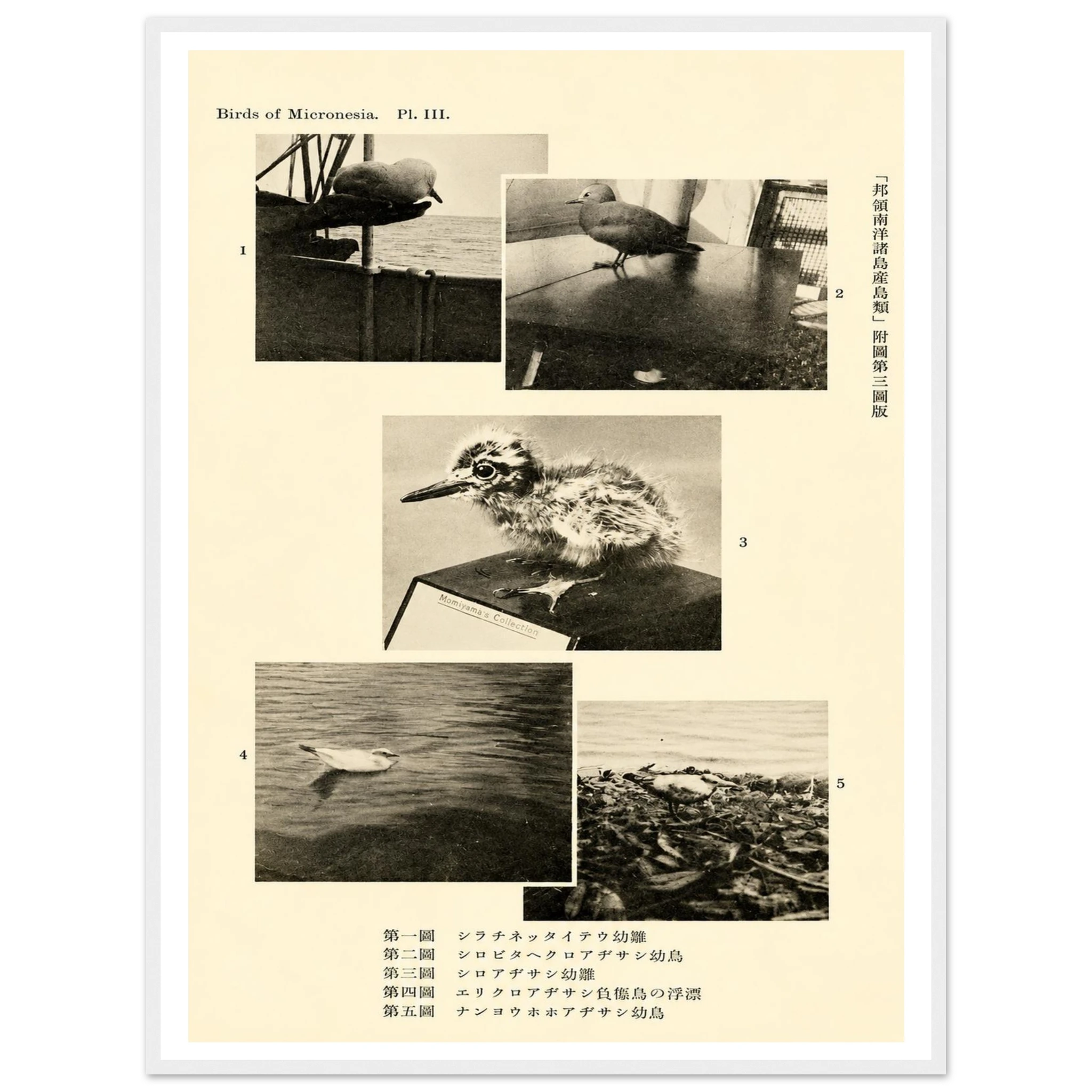 240ec0f1-6ad5-4943-92ff-950952b7510c