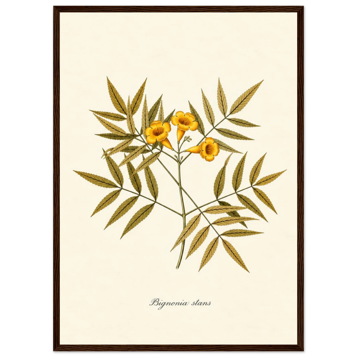 240f7b27-ccf7-469d-b5c2-b2aefb84deb8