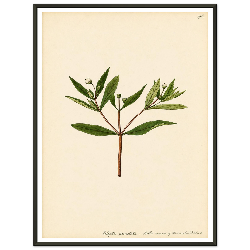 24654ce1-ca24-4904-bf2c-1d434f8dacfc