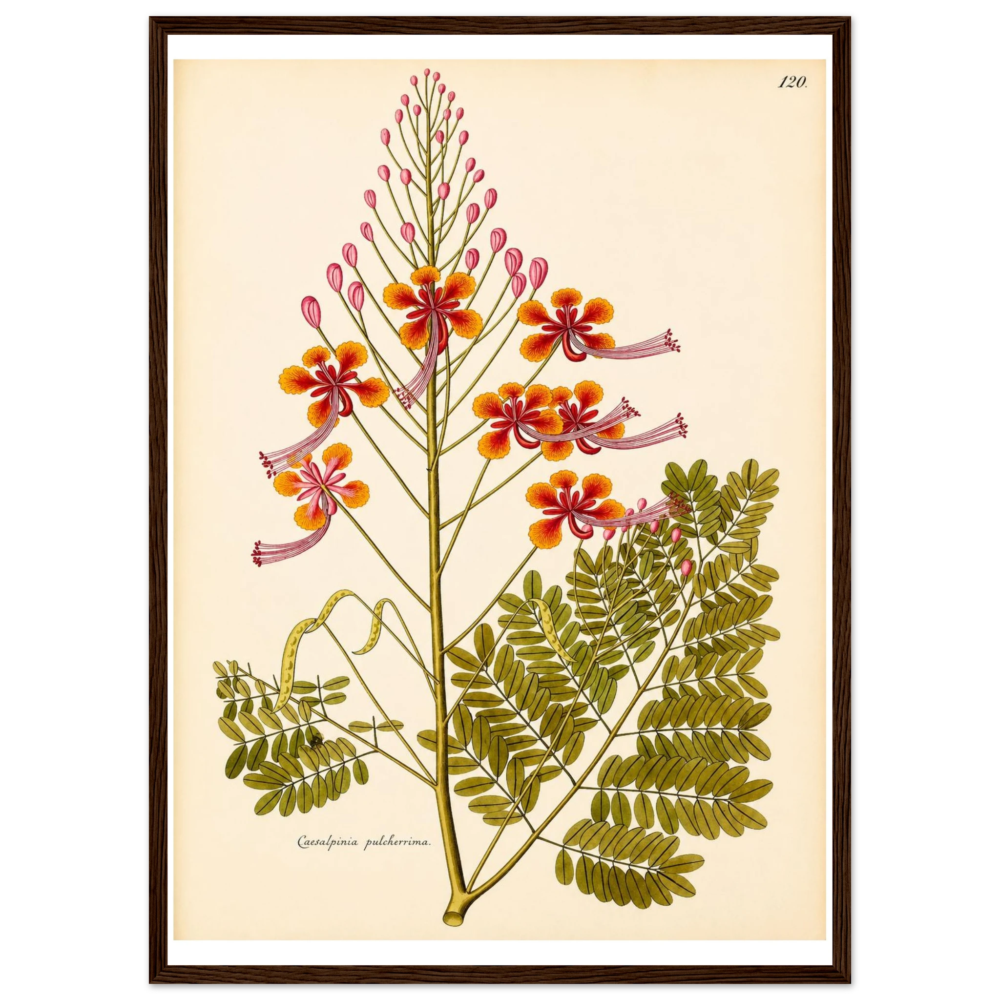 249ded77-1fd0-4557-85c3-46449a048068