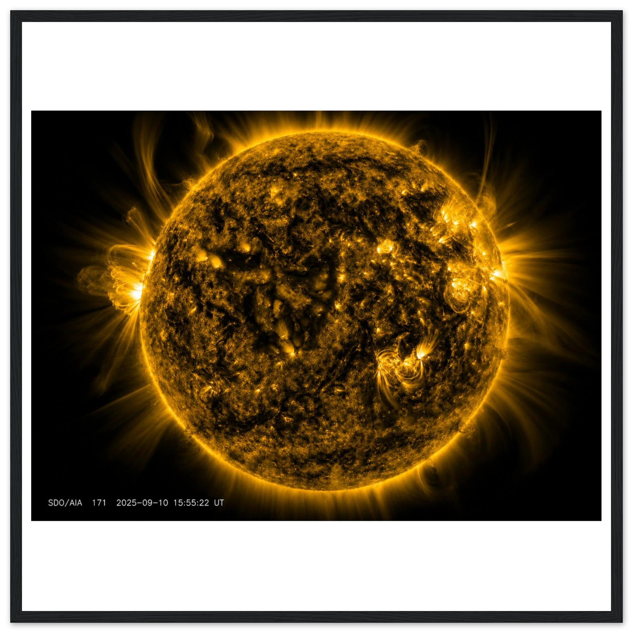 2549711a-5161-40ca-b2c0-52095d53e301