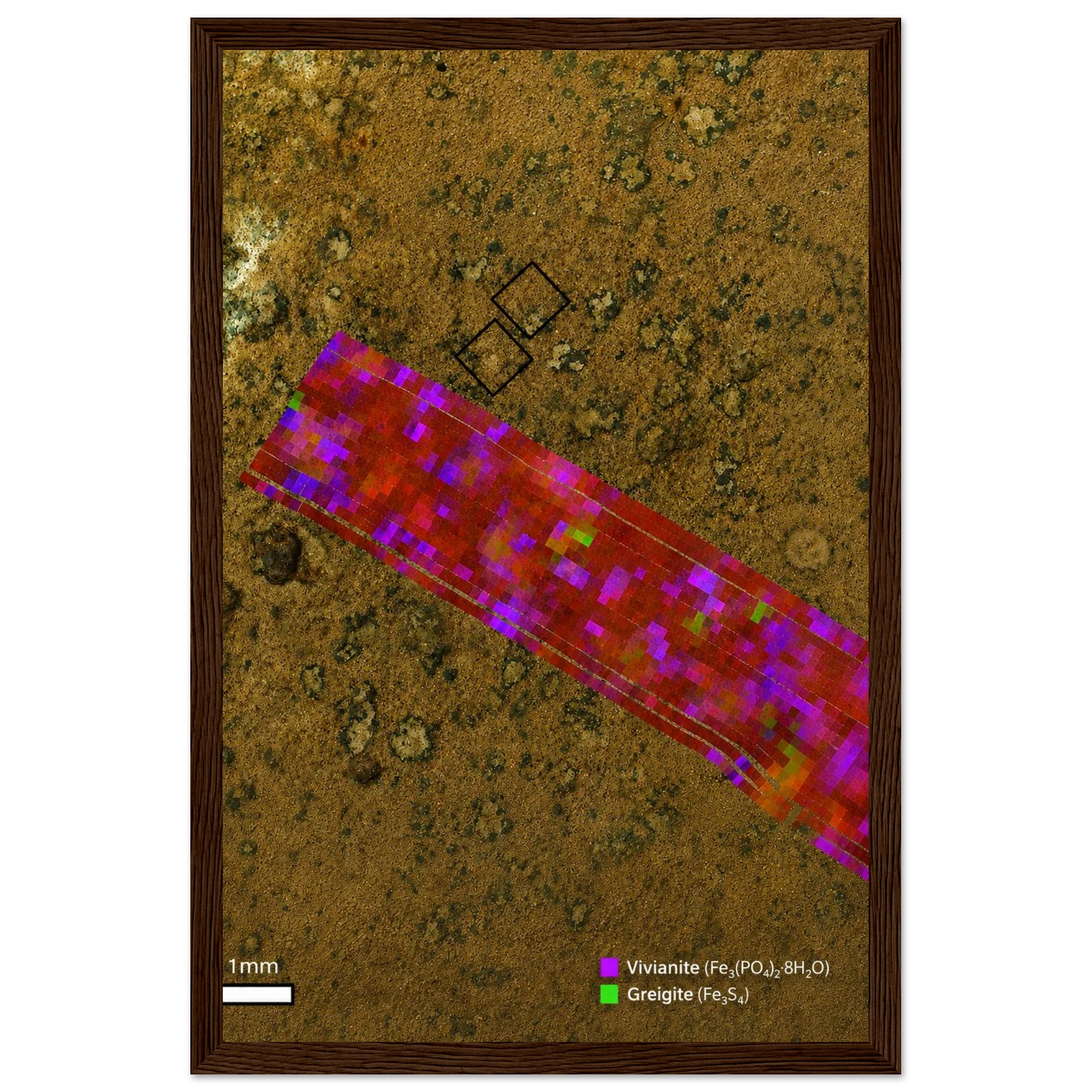 2579b68e-f24c-478f-b0f9-30716e0046f5