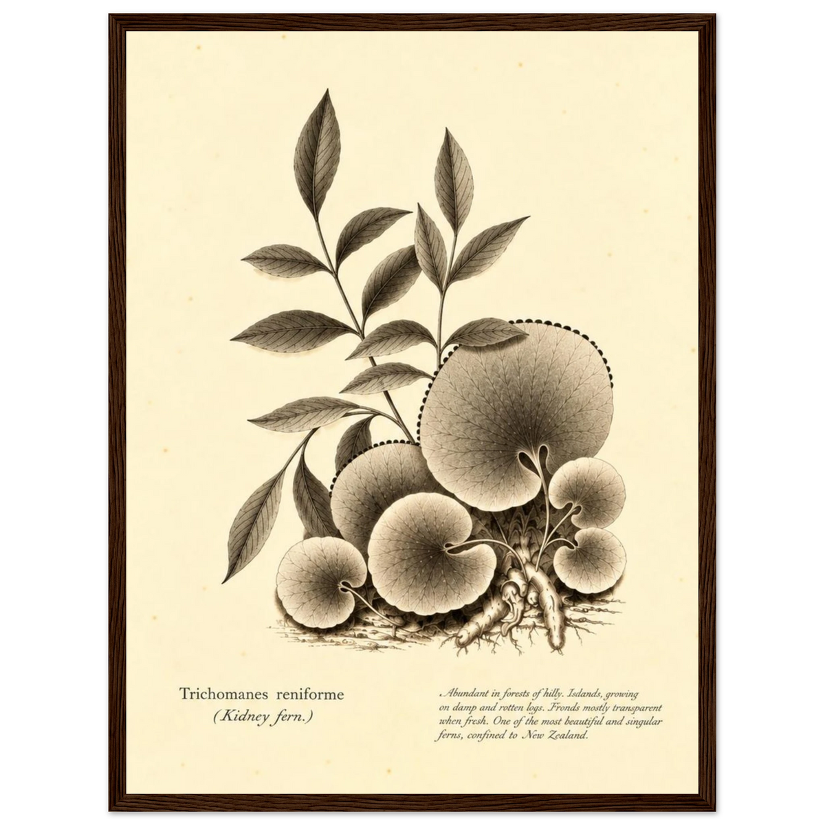 263d3fd9-78af-4bbd-b1fe-fa7443308640