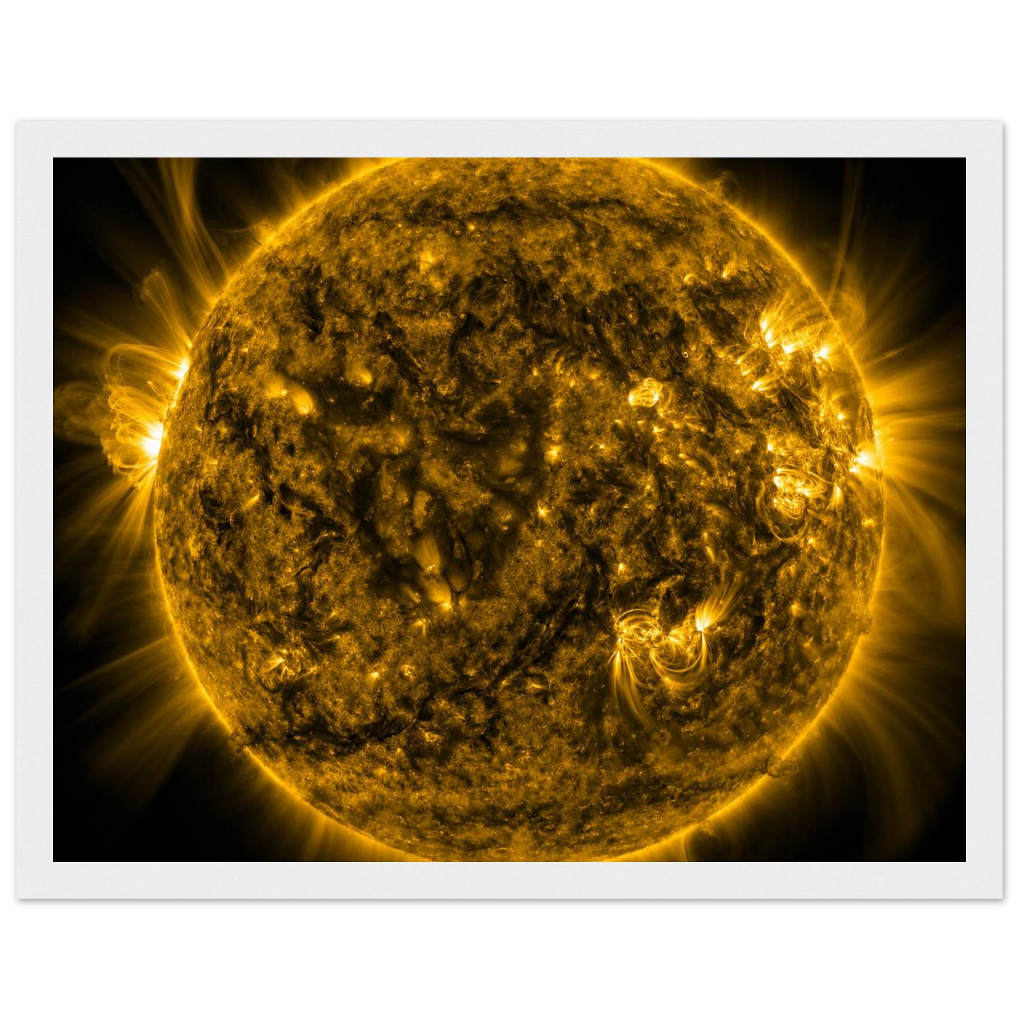 2645e85f-54e4-4944-8be7-70ffd47e1e9f