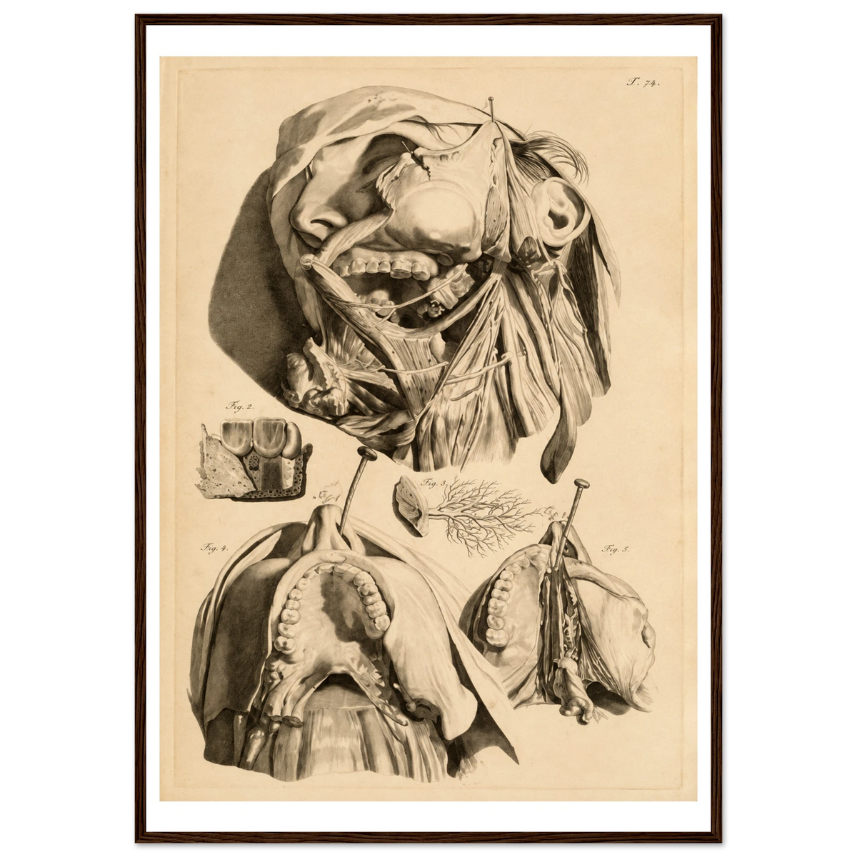 26608394-ee0c-40a5-945d-6097c551f43d