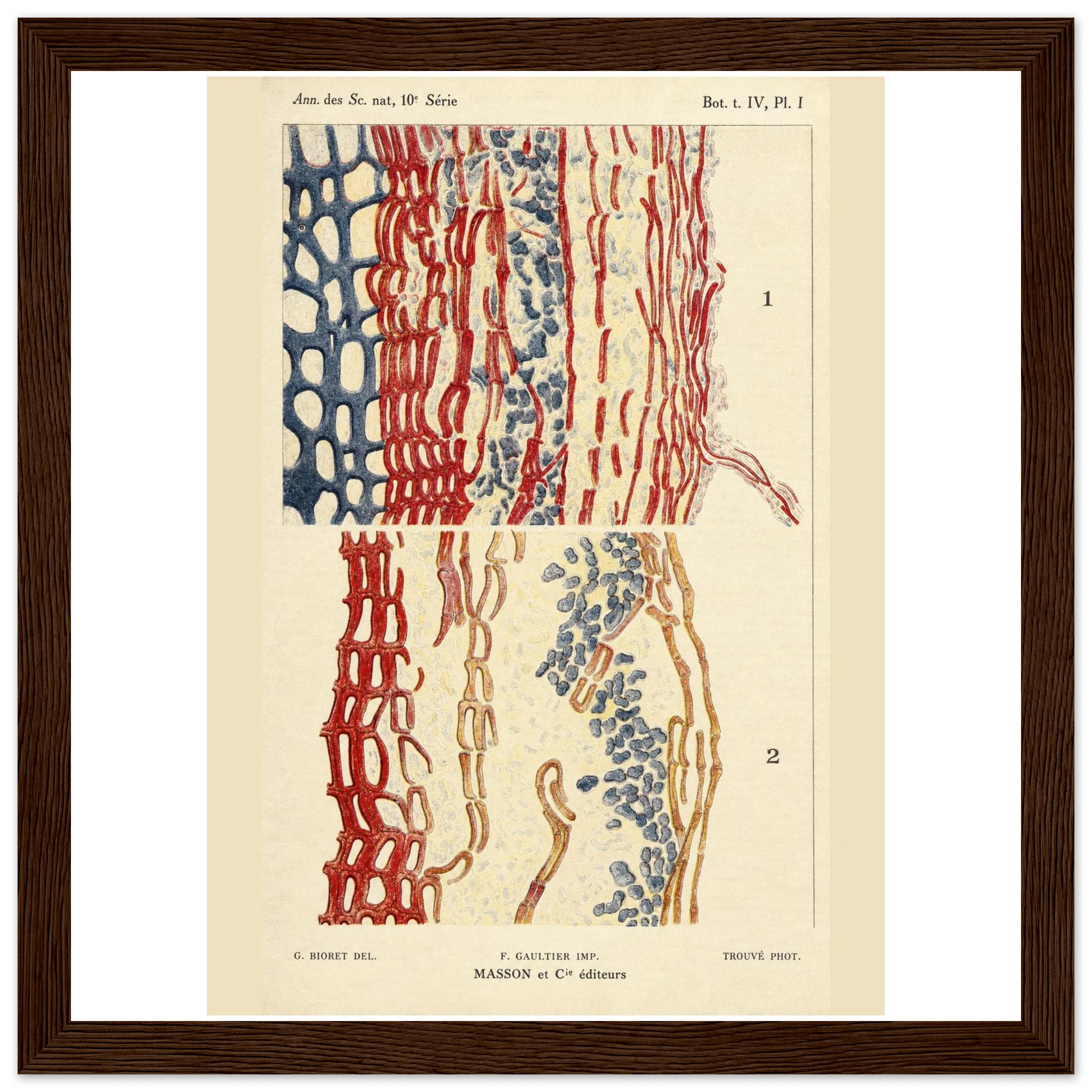 26d61db2-d616-4cb8-b198-a5fdcd8e48b2