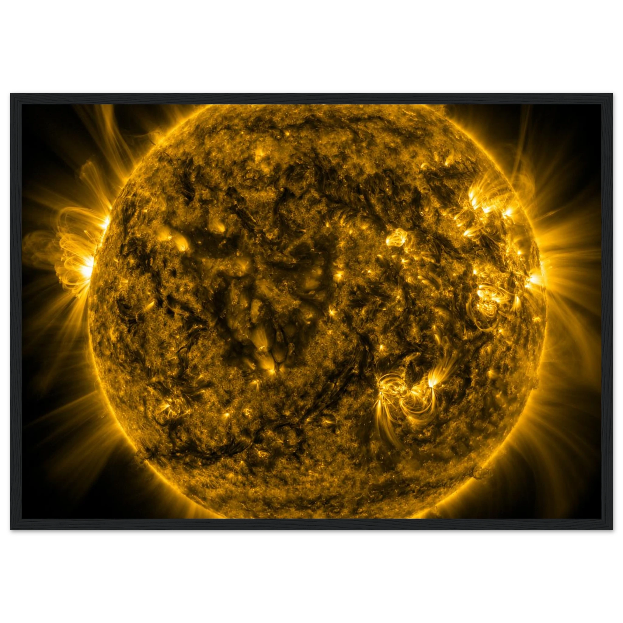 27b647e5-c715-434c-9516-af1d73e0bd64