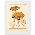 27ba0712-0e77-4cff-8bba-c7345defde48
