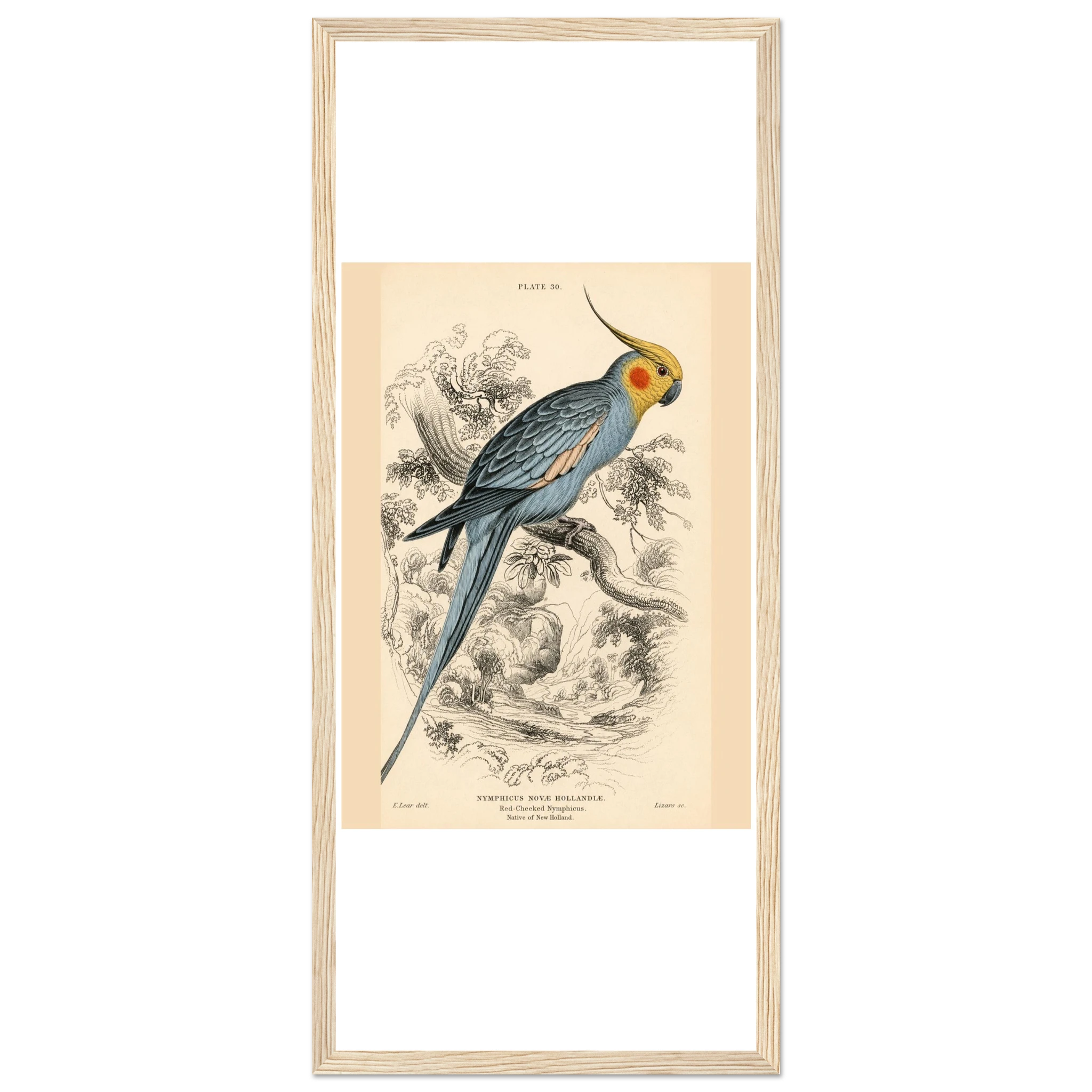 27e68c84-5af0-45d2-bdb4-ff7b086594b9