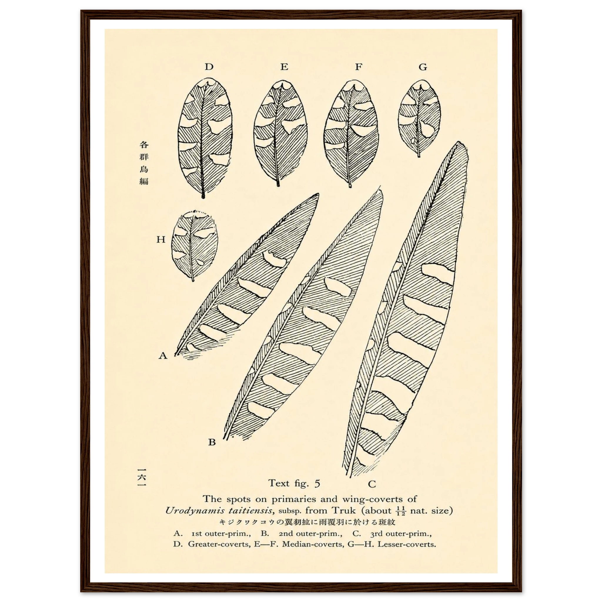 2814d736-c4e2-4ccb-9c2a-ed91bf6a1106