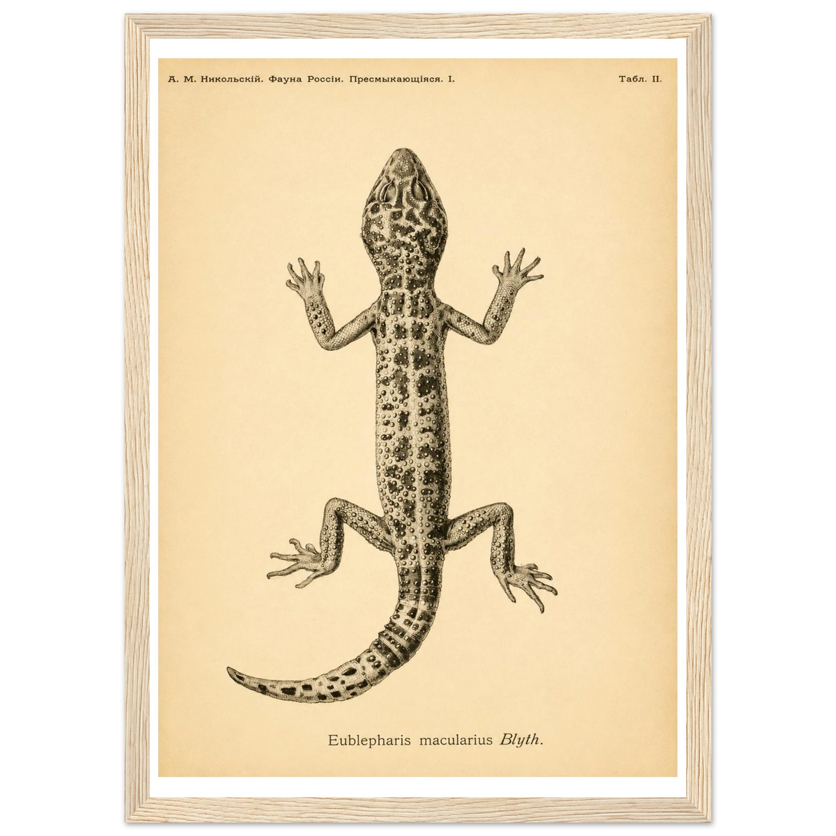 29f8ad9a-2d63-4e86-a0d6-3dcc6bc277b5