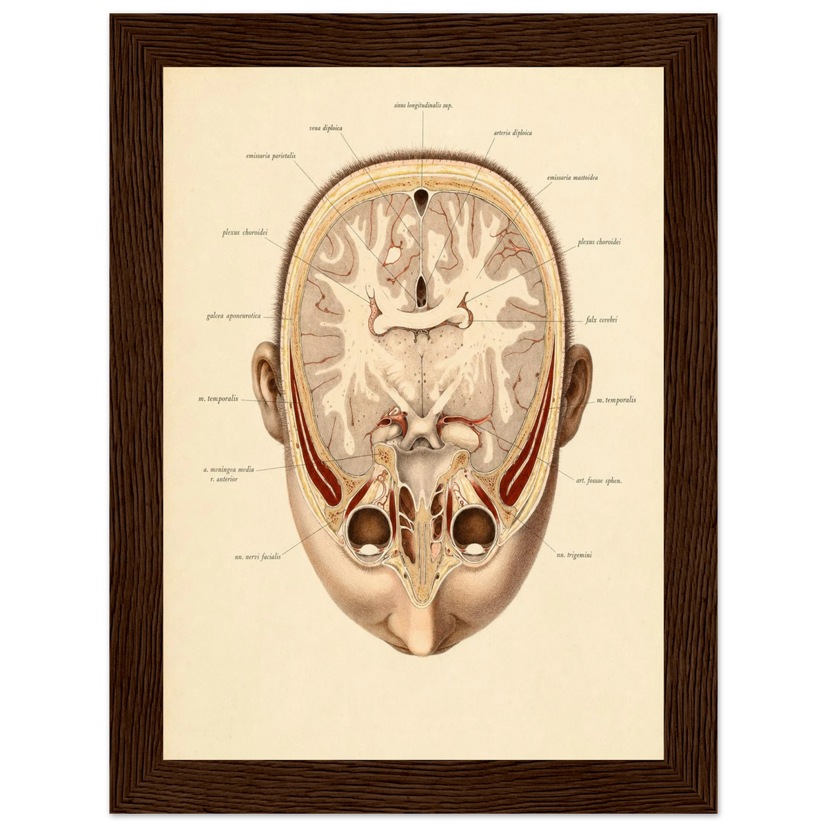 2a44d9ef-67fd-4113-be80-fdca4d30f2ff