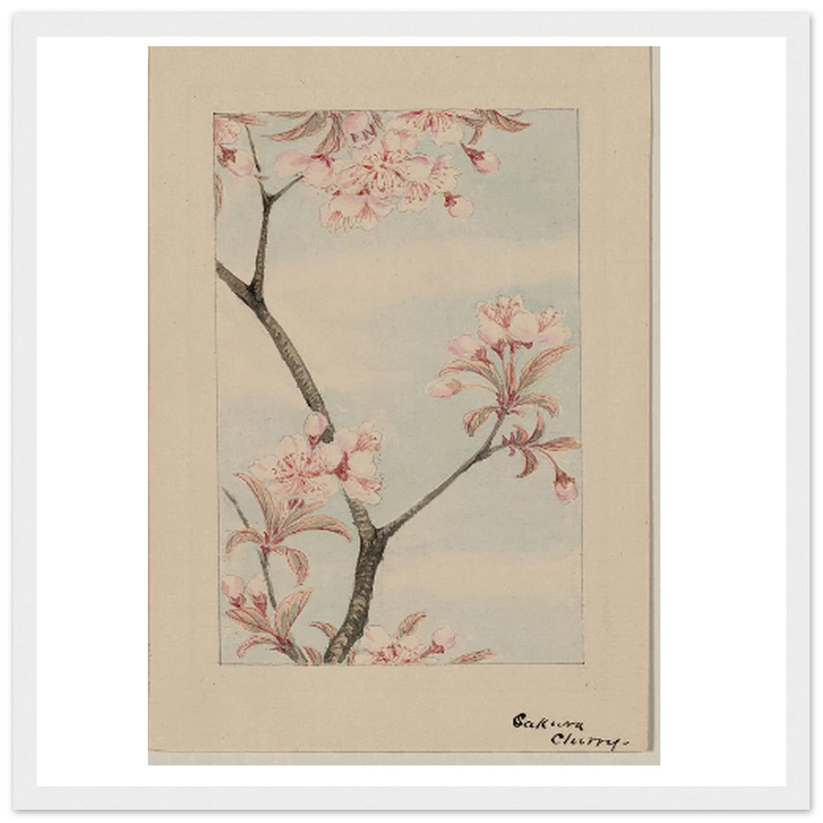 2a8163d2-ff3e-4552-9c6c-3312ddff9cb4