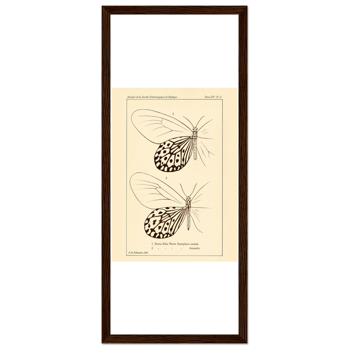 2ab7d169-003c-4ea8-b4cc-3ff1b415d952