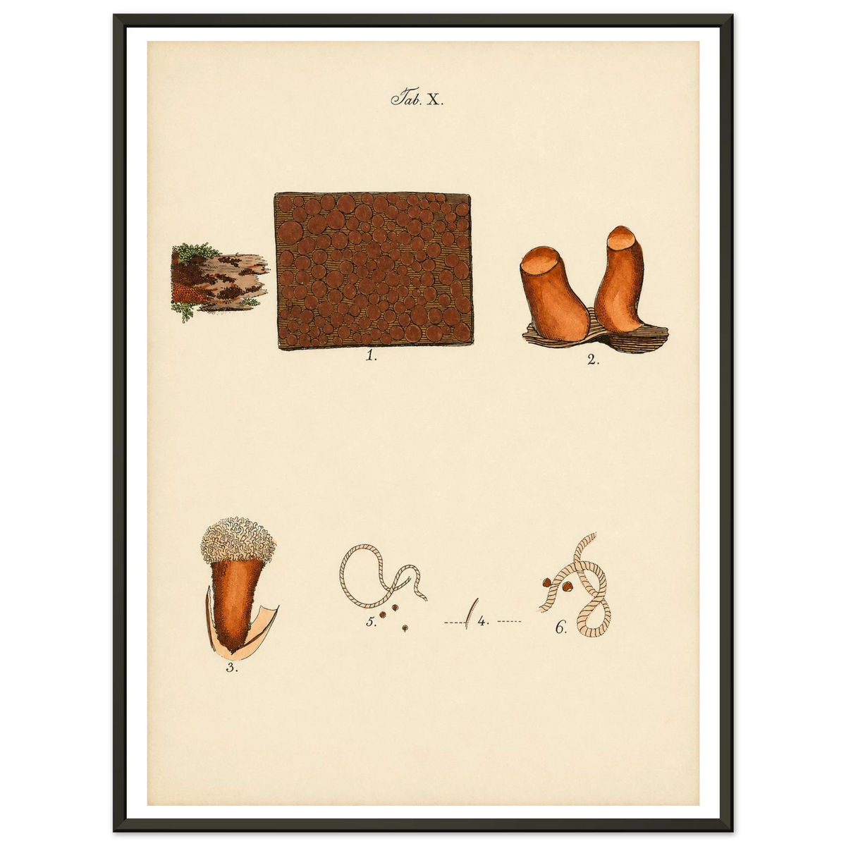 2b043ab8-92fe-43c2-ab30-f540c0de6cfe