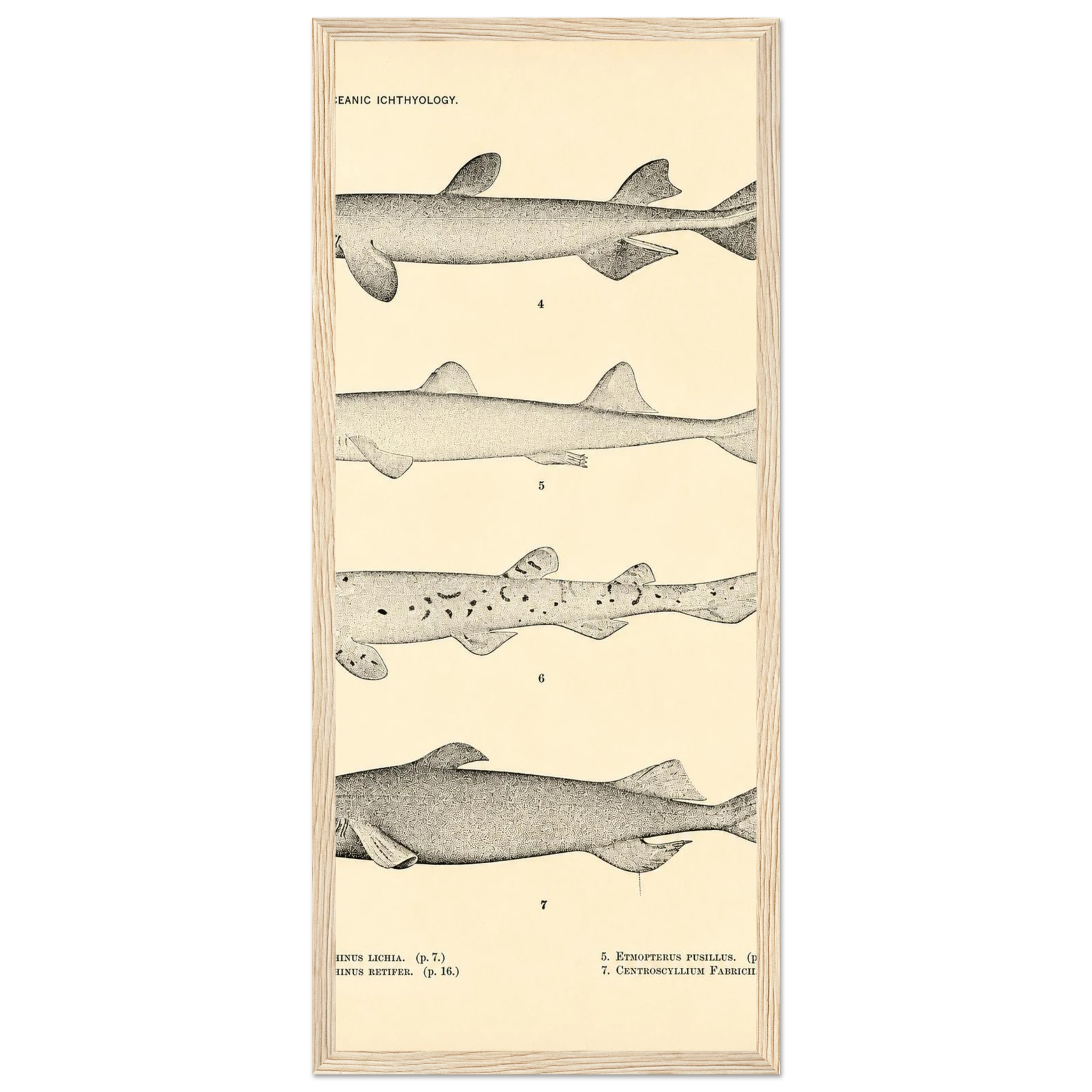 2b093ba0-7976-441e-abc0-f6311958112b
